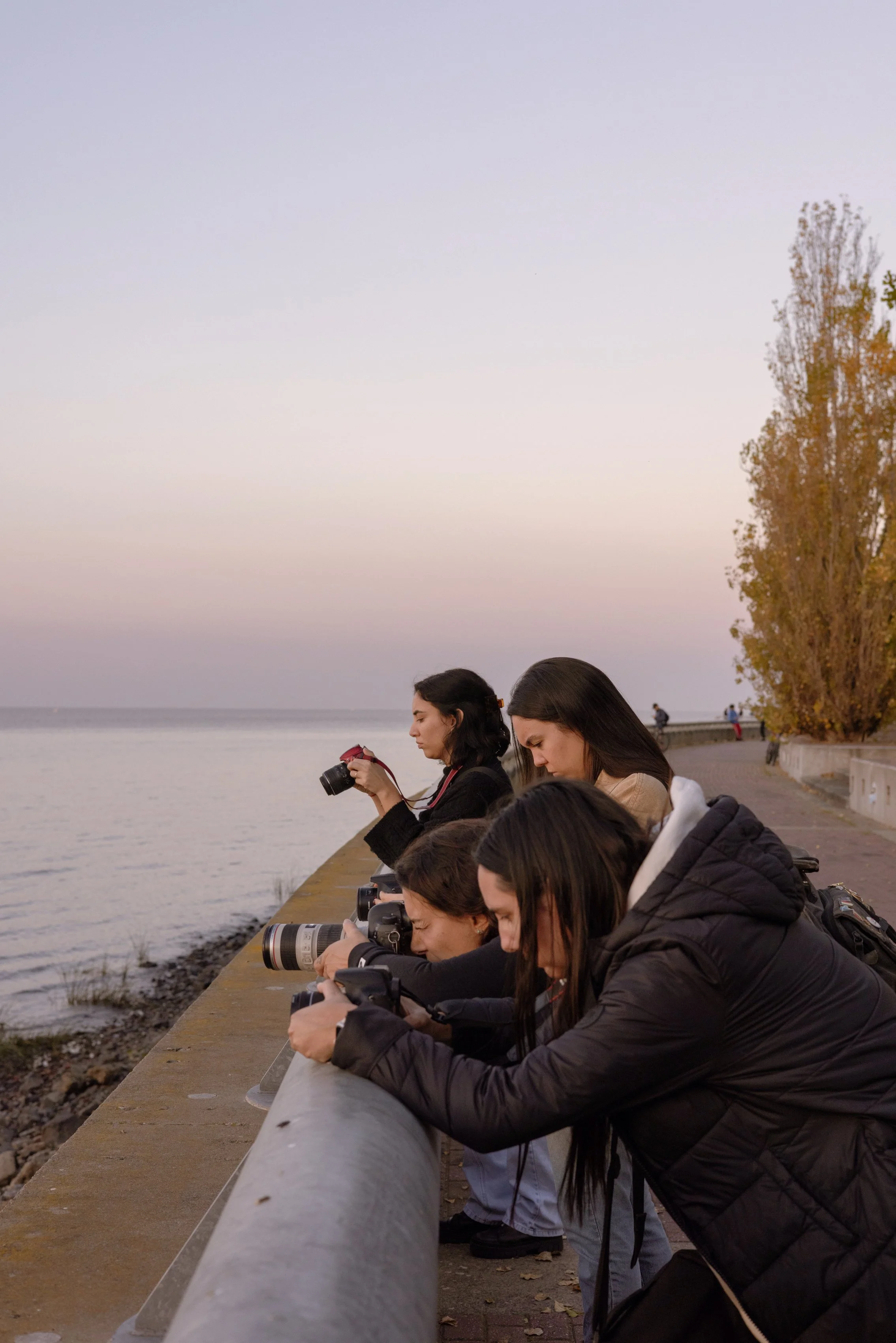 083A4068 Photofield.JPG