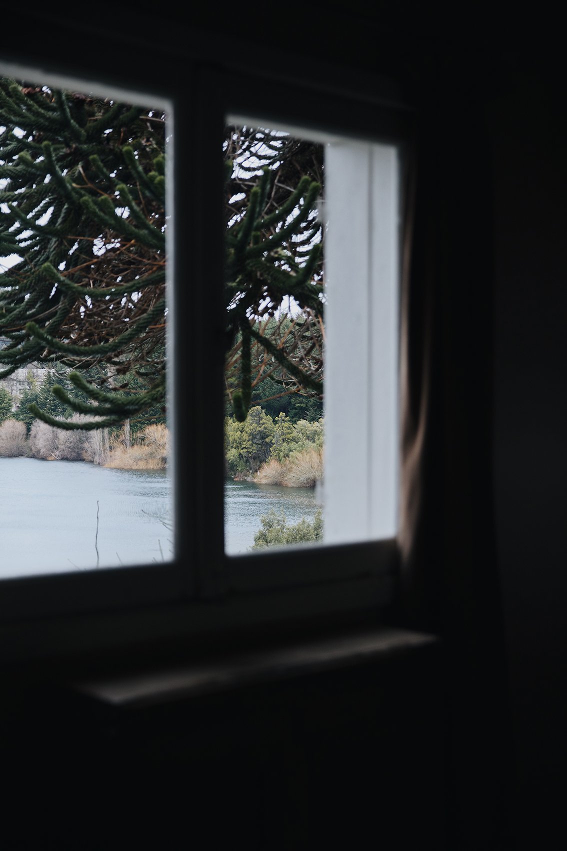 9012BB27-110C-498E-B54A-A70DA339866D 2.jpg