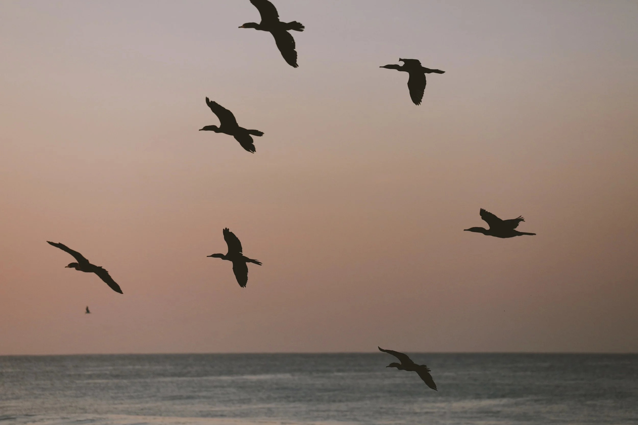 4M5A1270 Photofield.jpg