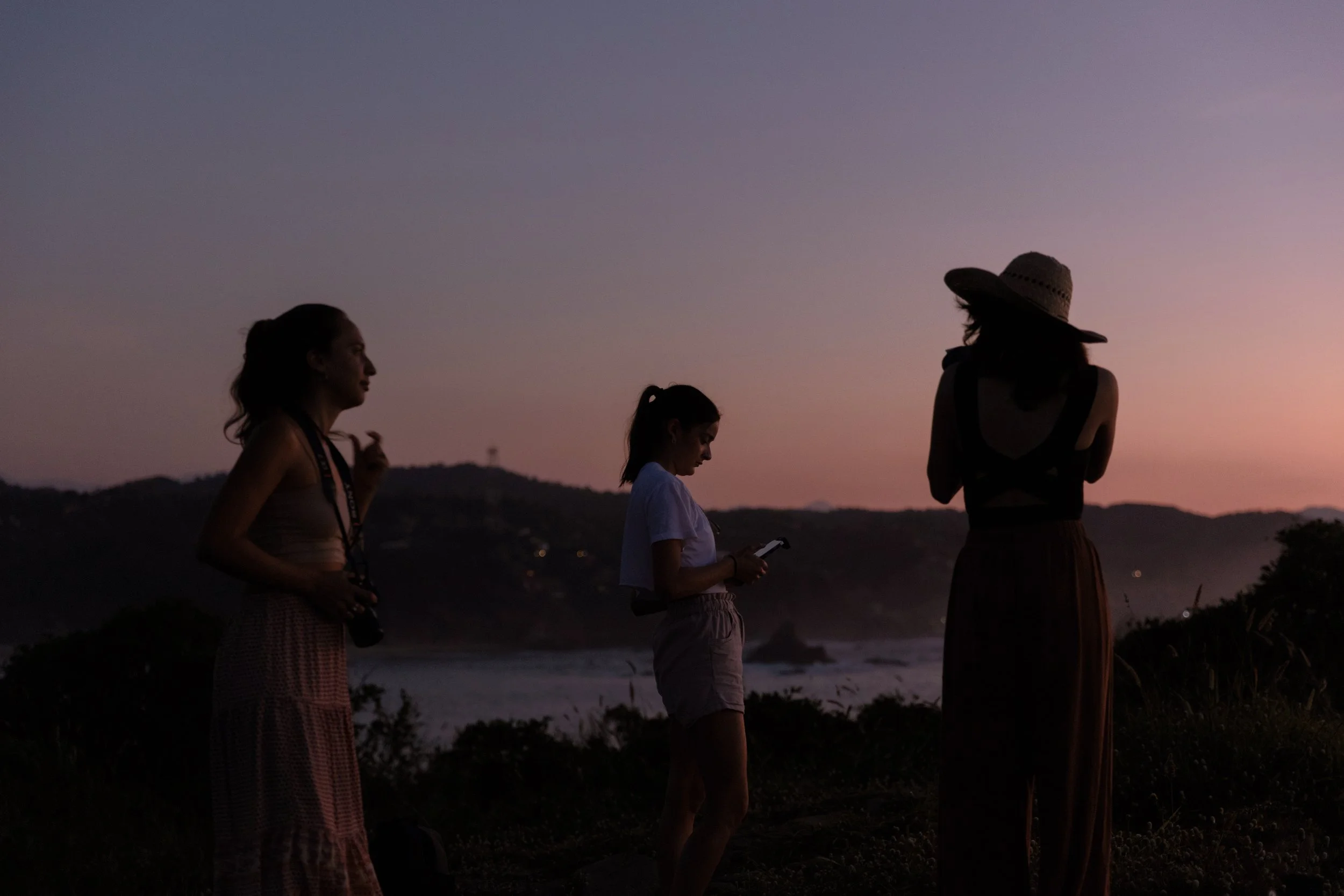 4M5A2678 Photofield.JPG