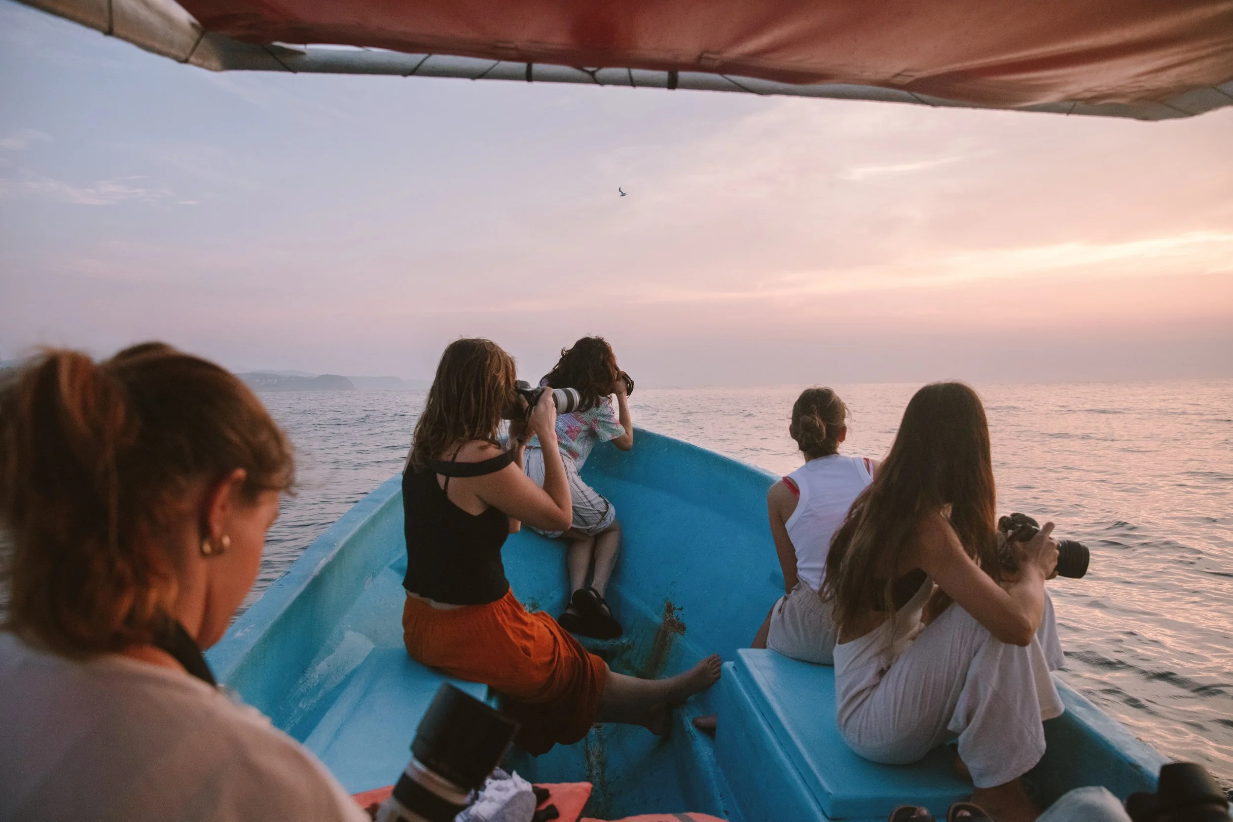 4M5A3589 Photofield.JPG