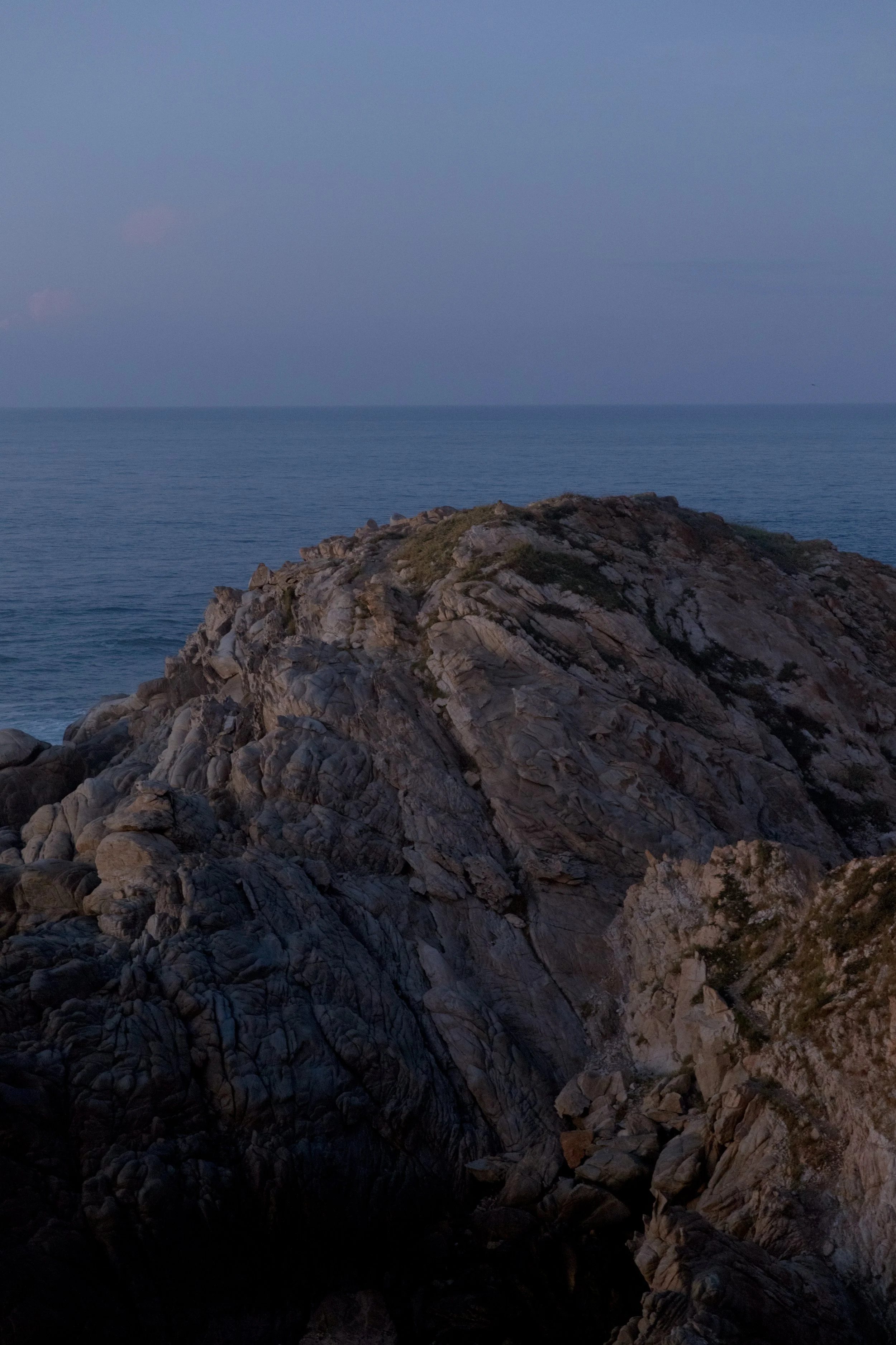 4M5A2690 Photofield.JPG