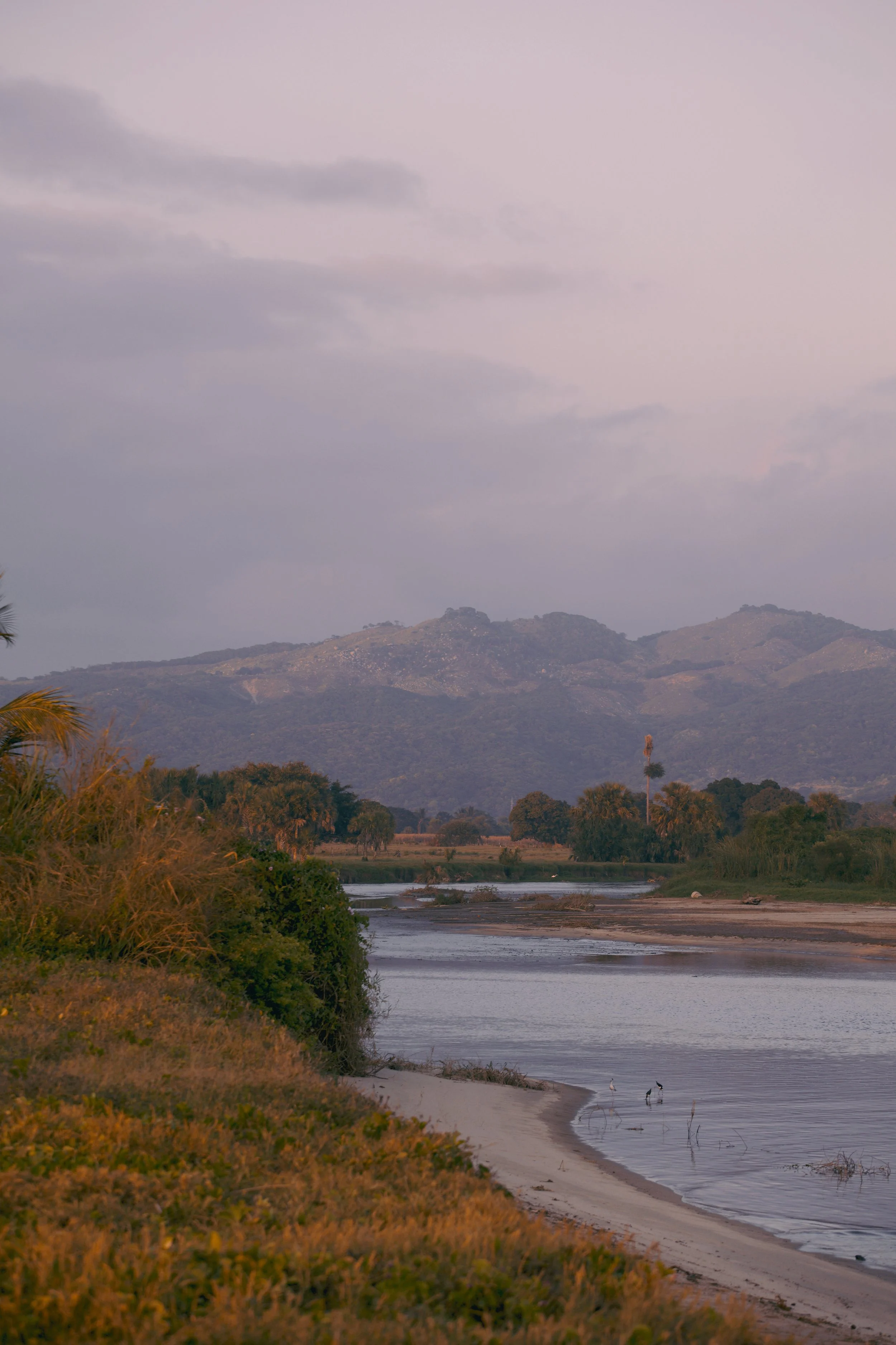 4M5A1149 Photofield Photofield.JPG