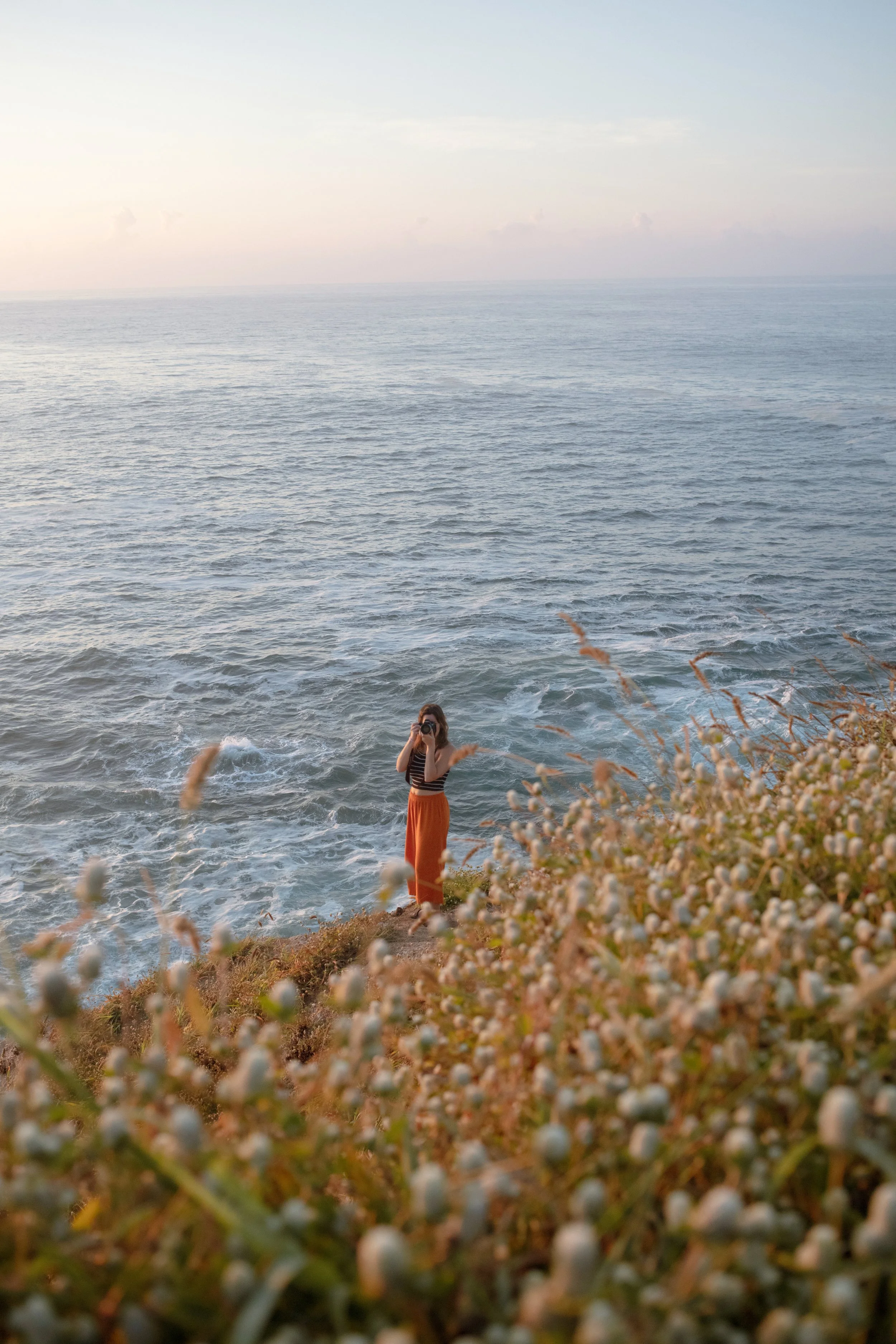 4M5A2772 Photofield.JPG