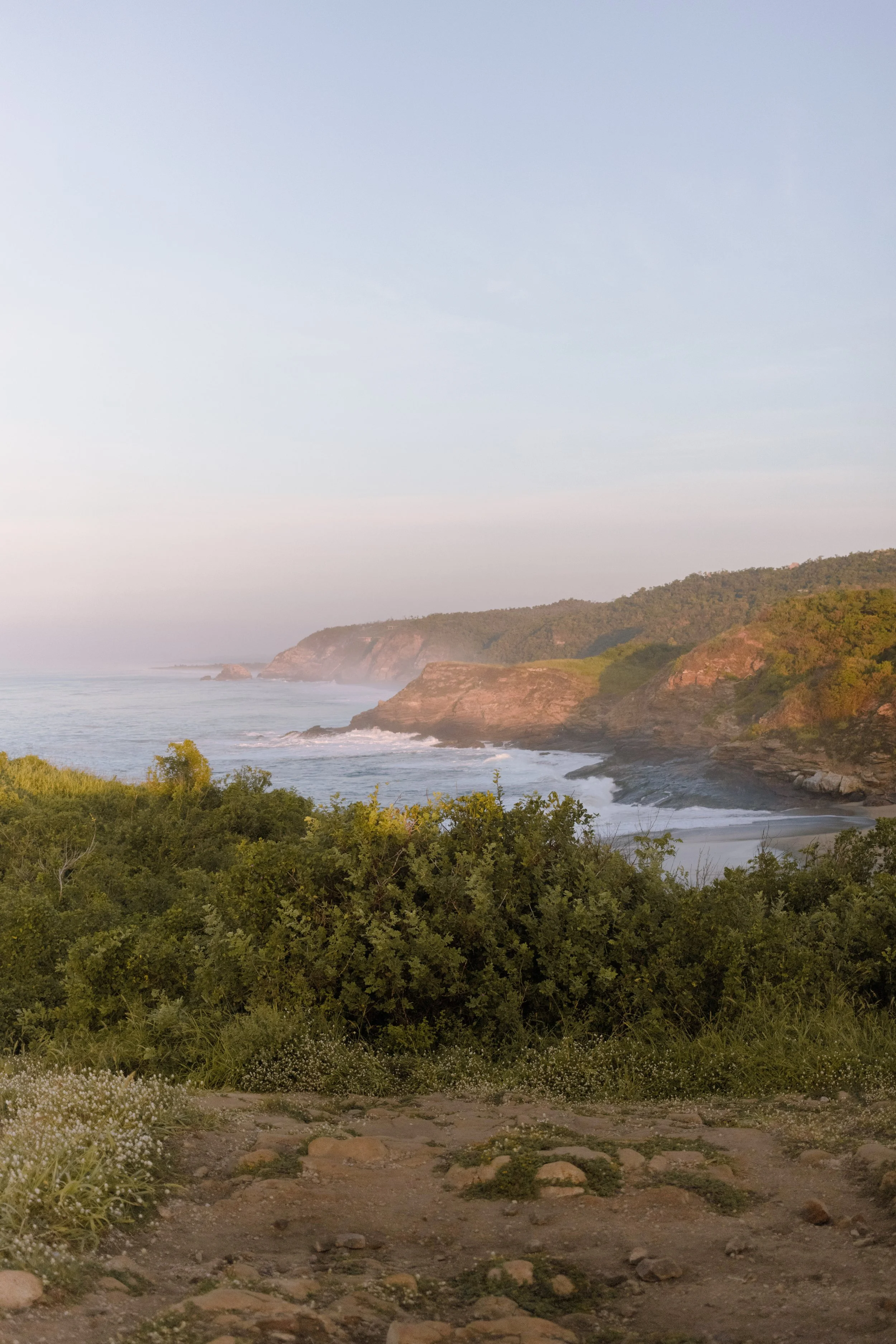 4M5A2781 Photofield.JPG