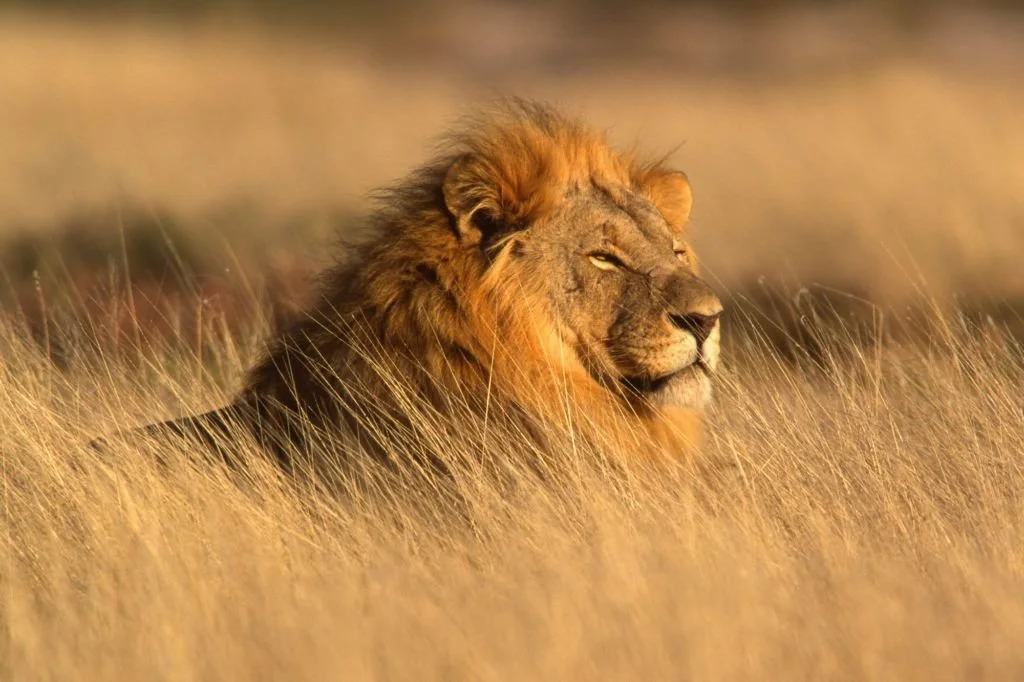 viaje-fotografico-namibia-2-1024x682.jpg