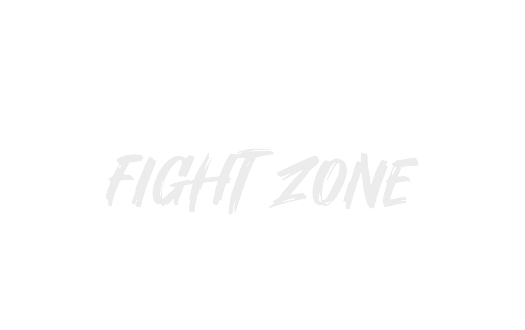 logo FZ white.png