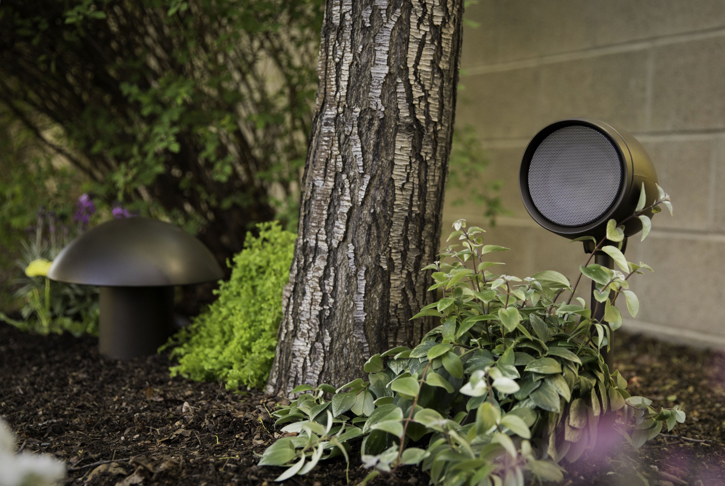 Outdoor garden scene with a tree, a black outdoor lamp, a speaker, green plants, and soil.