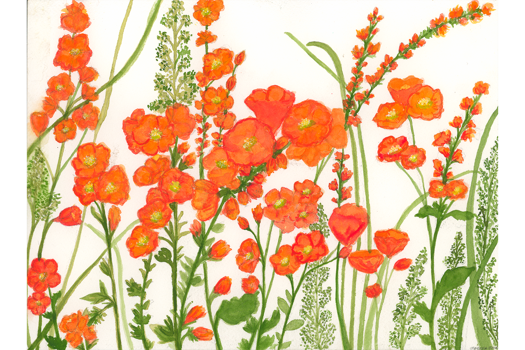 2026-01-03-10-46-46-01 orange flower 4x6.png
