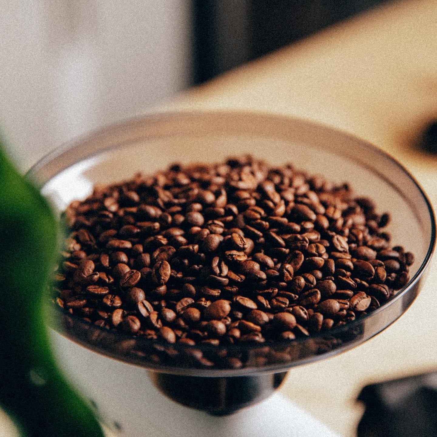 Back with the heat 🤌🏻

Coming from Carloman Carranza Montenegro in Peru, this natural processed bourbon and Costa Rica 95 is a warm welcome back for us.

Floral Chocolate, Watermelon, Pink Lemonade, Guava

Imported by our friends at Yellow Rooster
