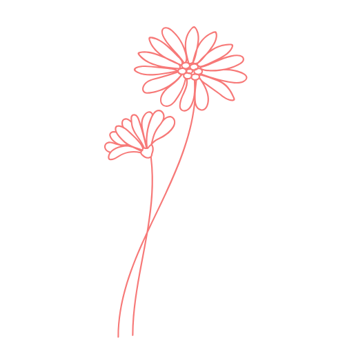 Minimalist line drawing of two coral flowers with long stems on a purple background.