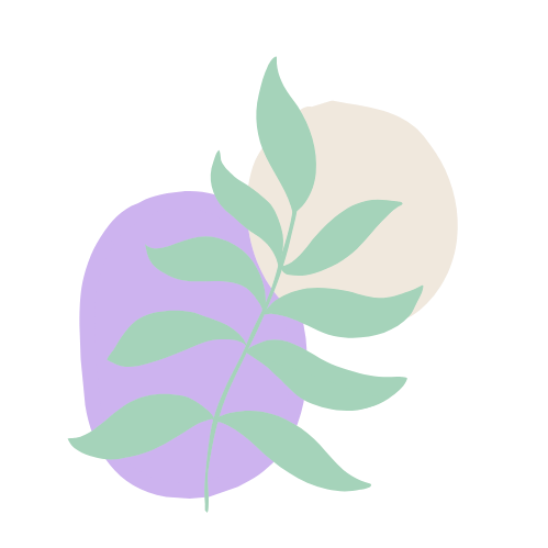 A soft abstract illustration featuring a lilac shape, a cream circle, and sage green botanical leaves arranged together on a pink background.