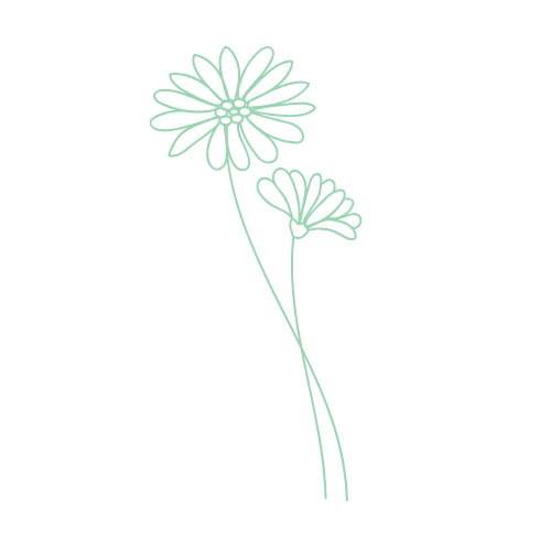 A green line drawing of two daisy-like flowers on an intertwining stem, against a beige background.