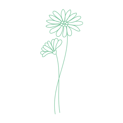 Minimalist line drawing of two purple flowers with long stems on a purple background.
