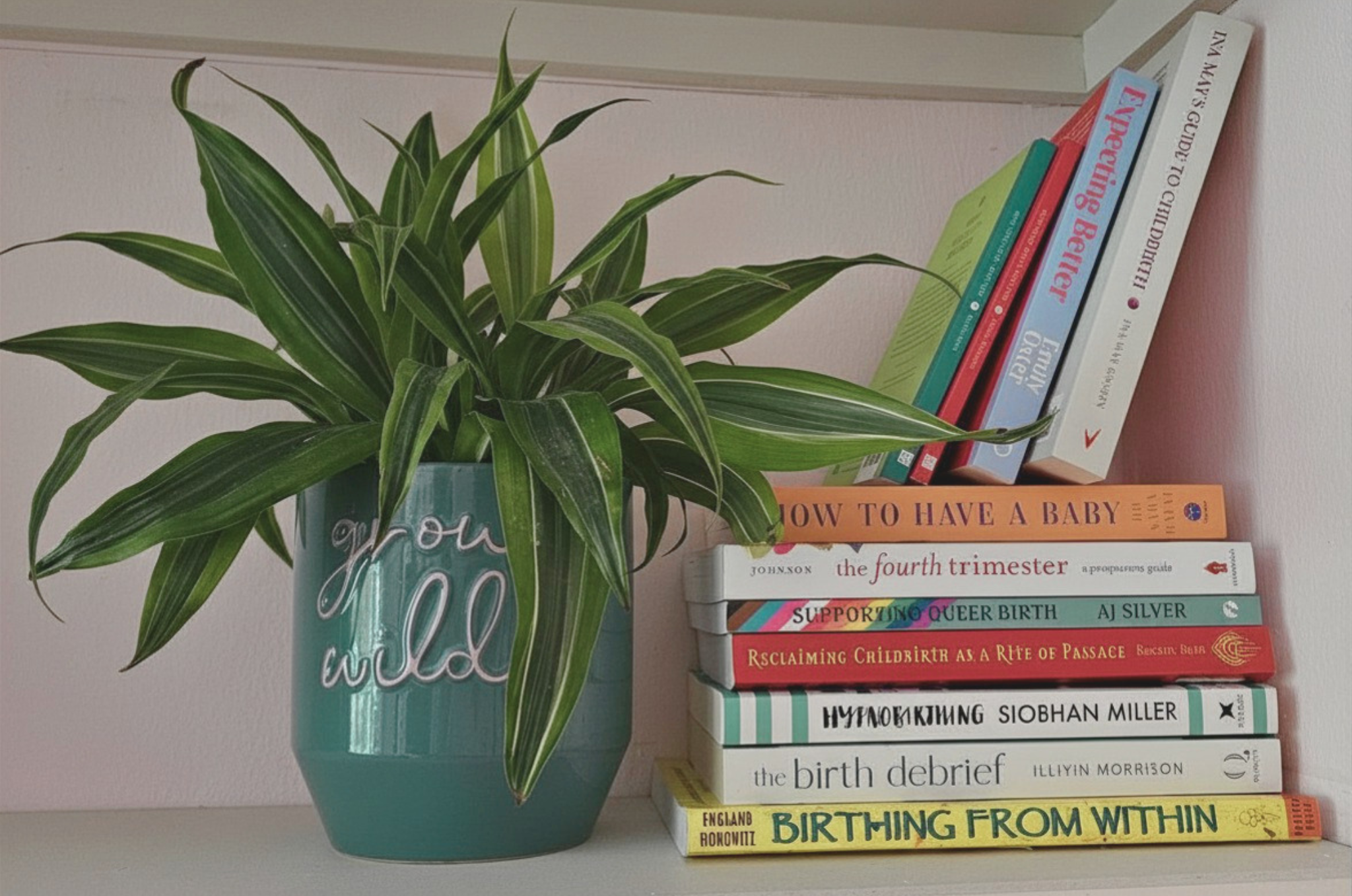 A stack of pregnancy and birth books next to a "grow wild" pot plant on a white shelf. Titles include Hypnobirthing, The Birth Debrief, and Supporting Queer Birth.