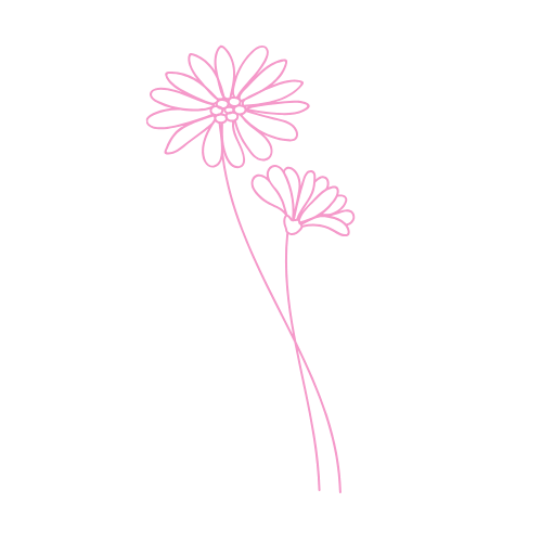 A pink line drawing of two daisy-like flowers on an intertwining stem, against a beige background.