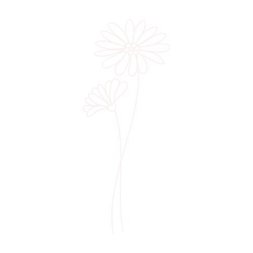 A white line drawing of two daisy-like flowers on an intertwining stem, against a pink background.