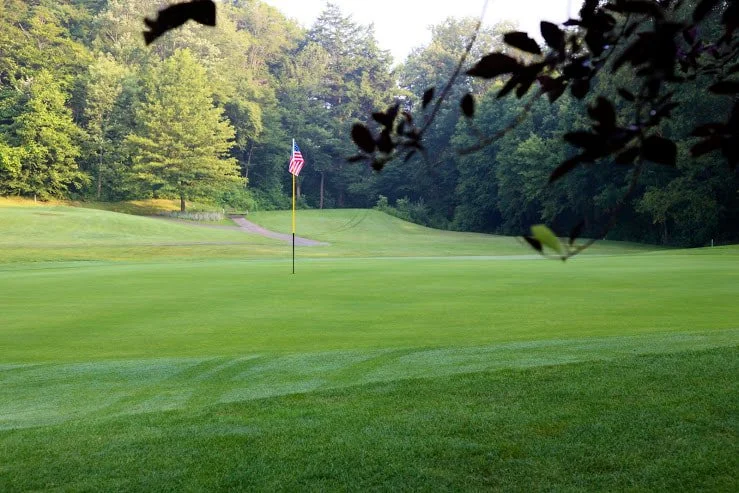 #5: A short par 3 with birdie a possibility.