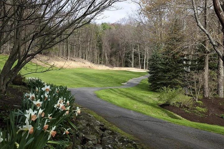 2-tee_orig.jpg