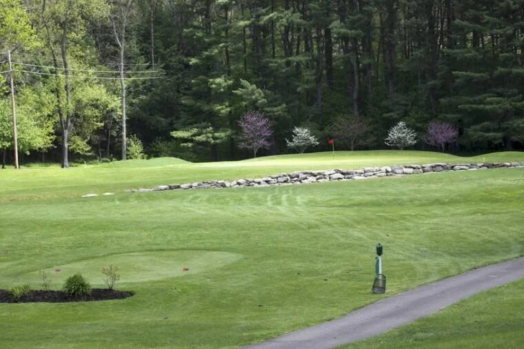 #16: A medium length par 3 with Valentine Run guarding the green. Original Donald Ross Hole