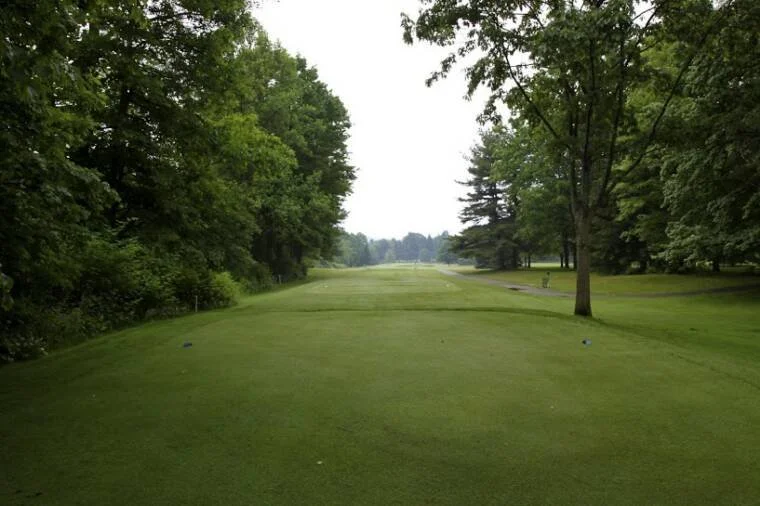 #15: A long par 5 with OB left and a water hazzard short of the green provide the ultimate in risk vs. reward.  