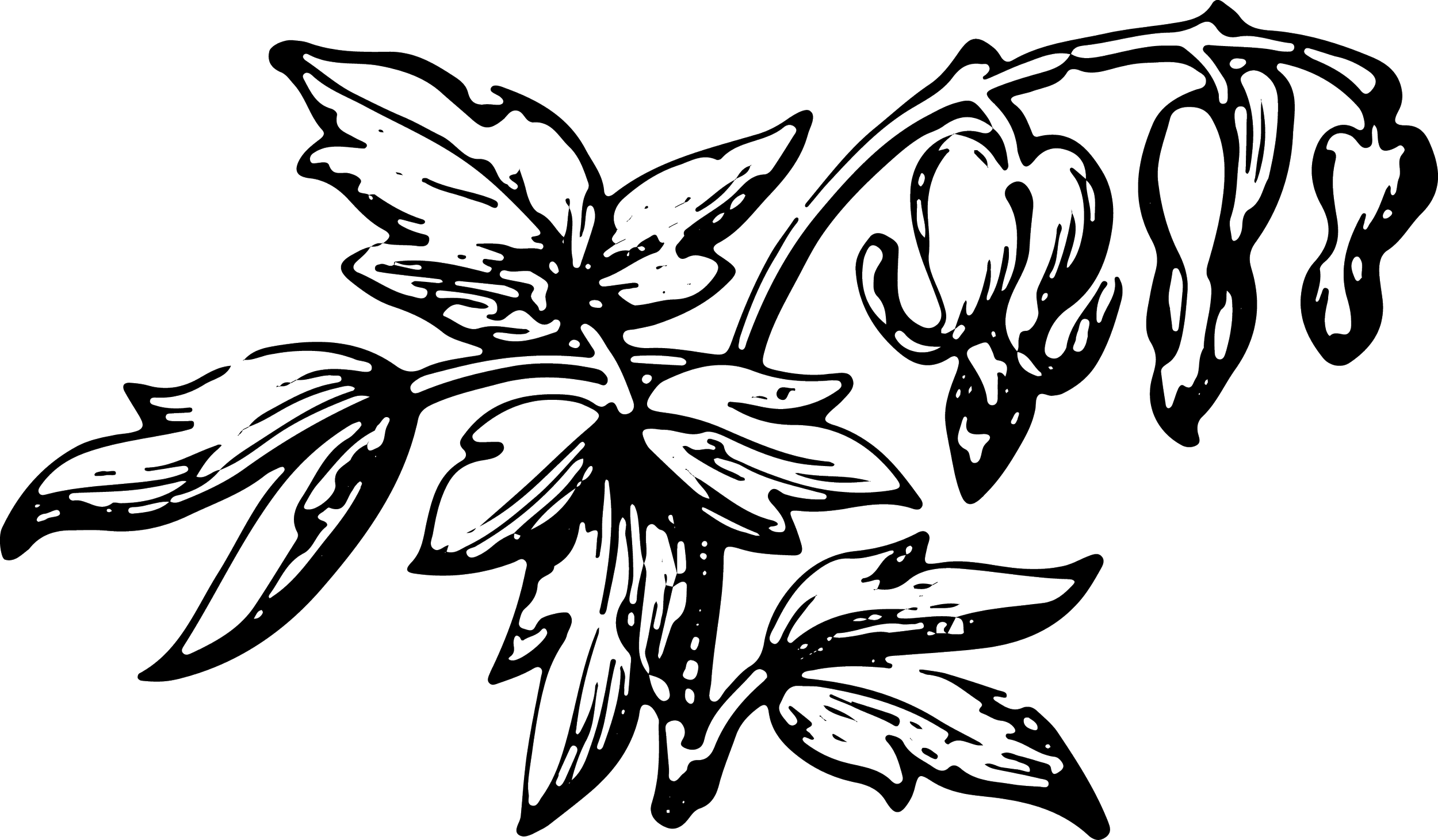 Line drawing of a butterfly with detailed wings and body.