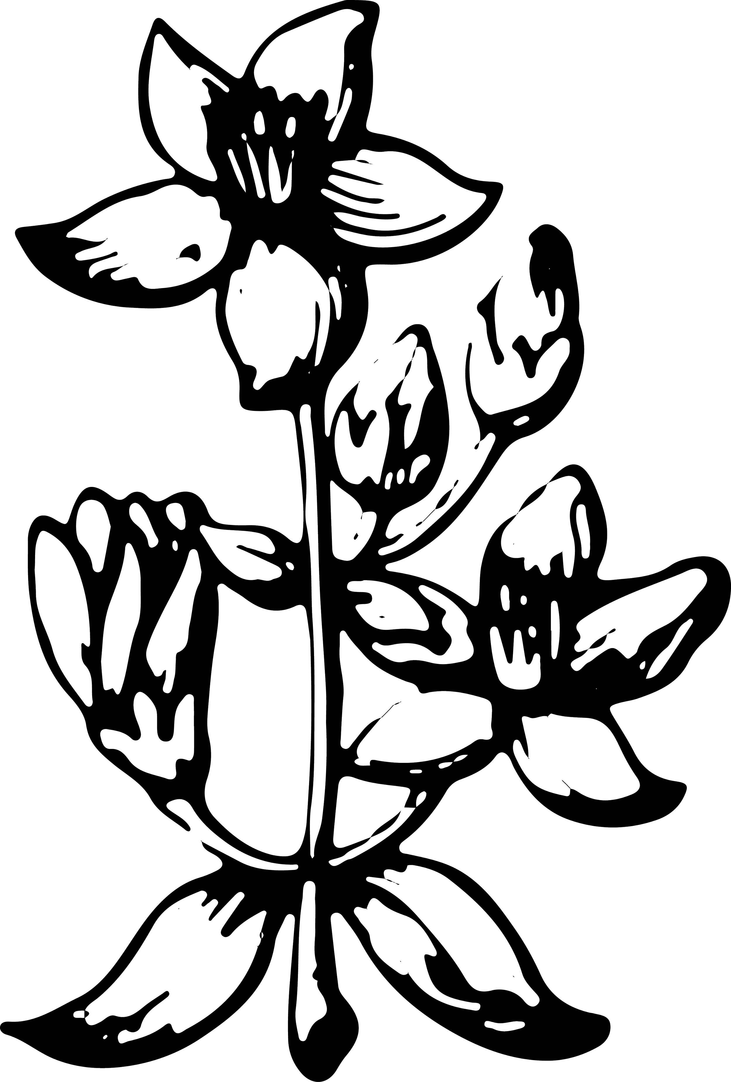 Outline drawing of a butterfly with symmetrical wings and body, set against a black background.