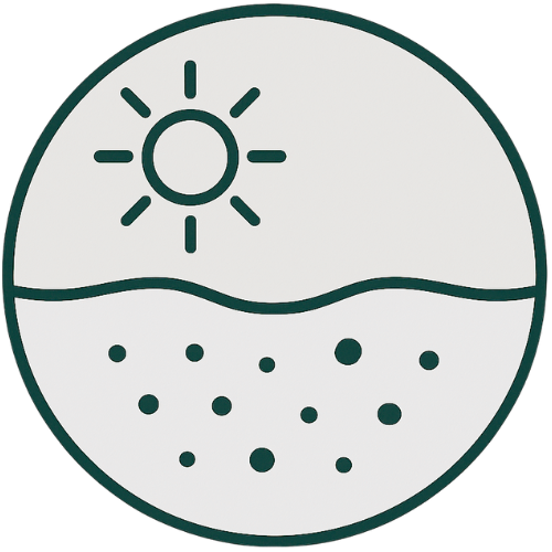 Simple line drawing of a sunny landscape with the sun above a wavy horizon and scattered dots representing a field or ground.