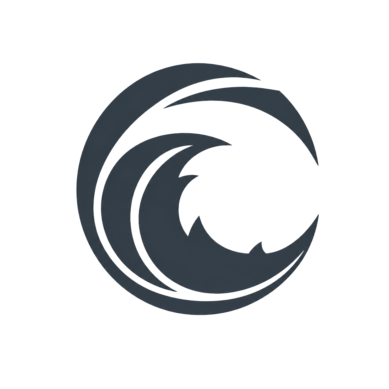 A stylized black and gray wave logo with a circular design, resembling a crashing ocean wave.