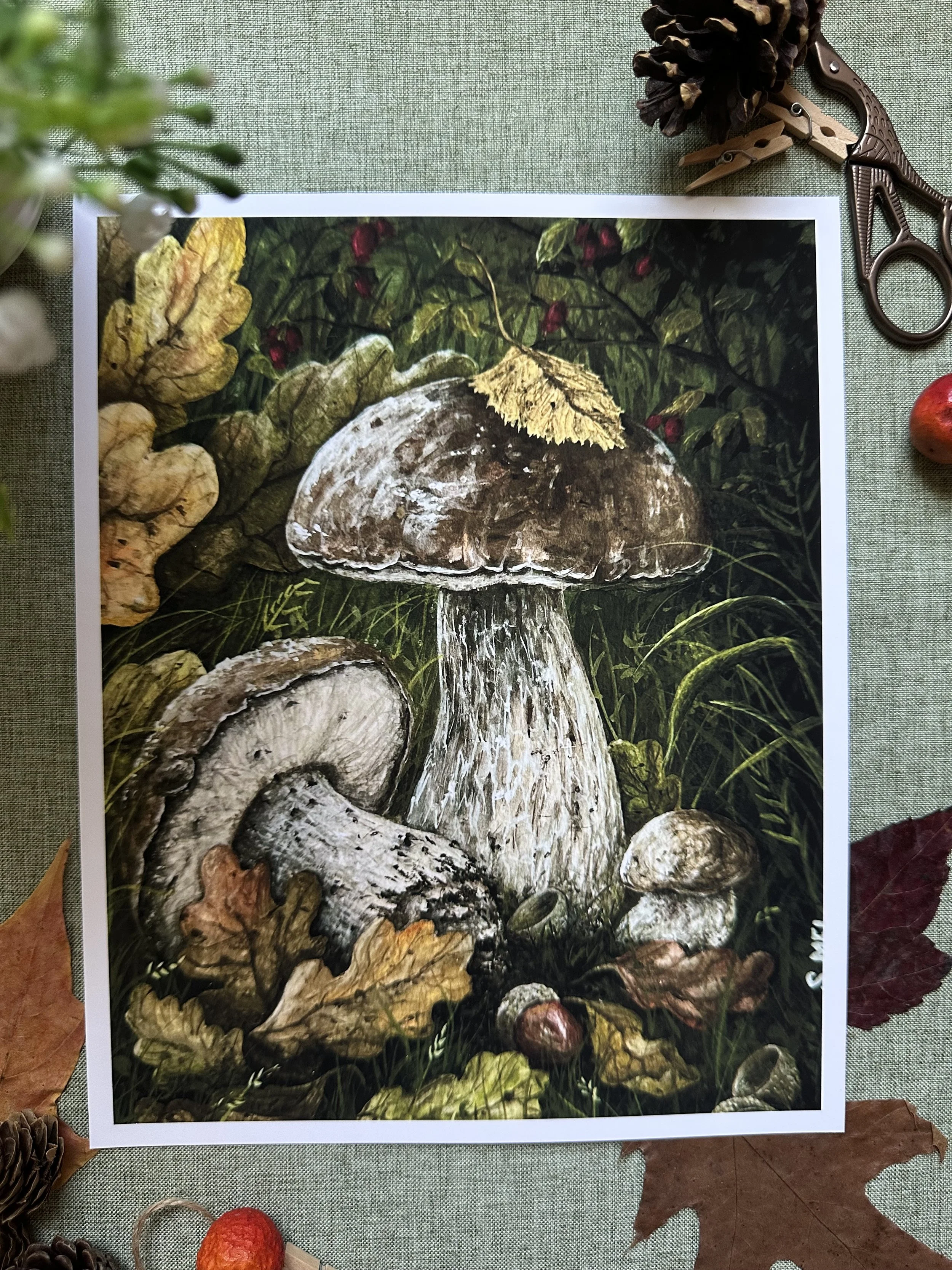 Forest Treasures  -  Fine Art Print