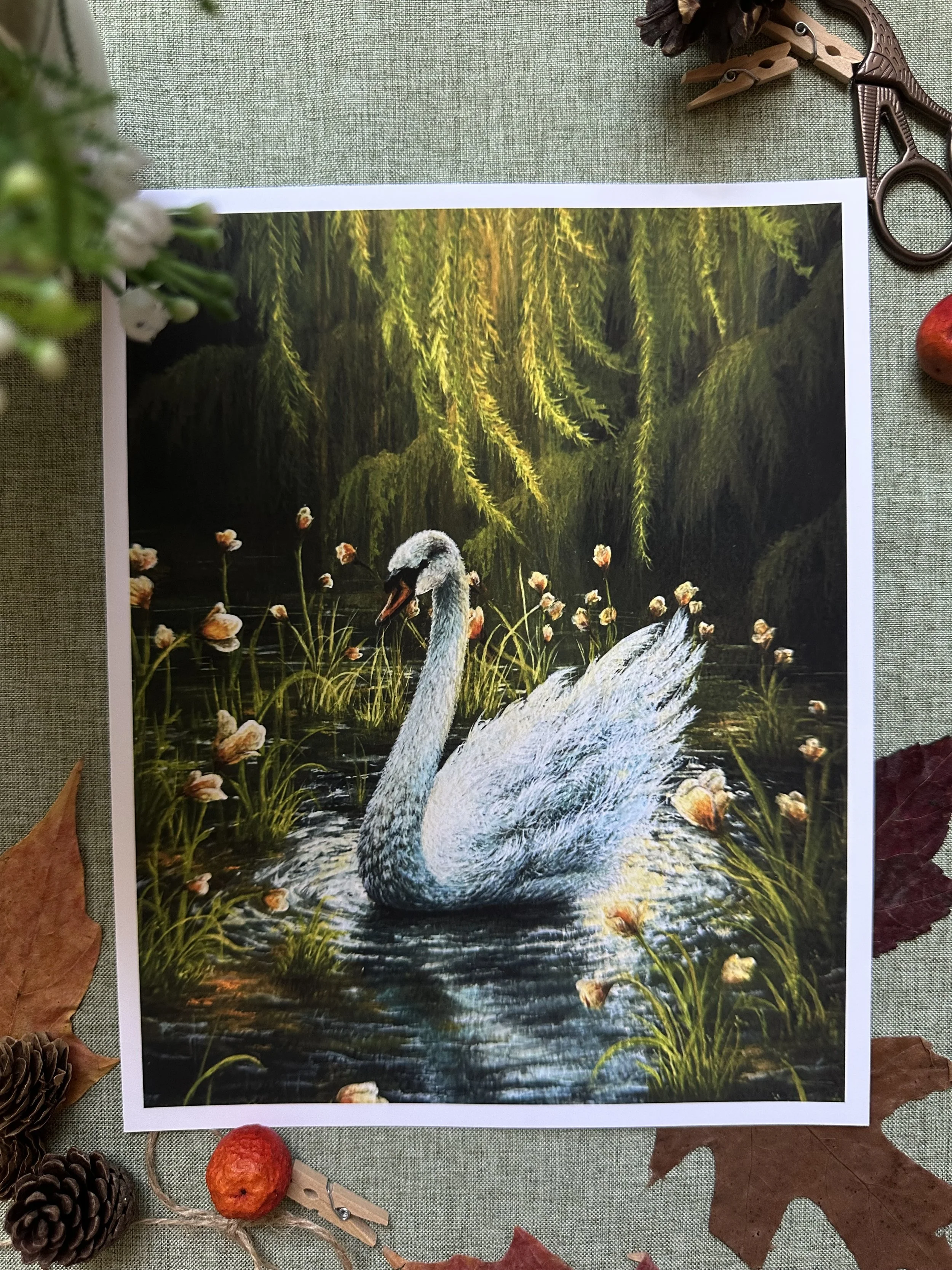 Silent Swan - Fine Art Print