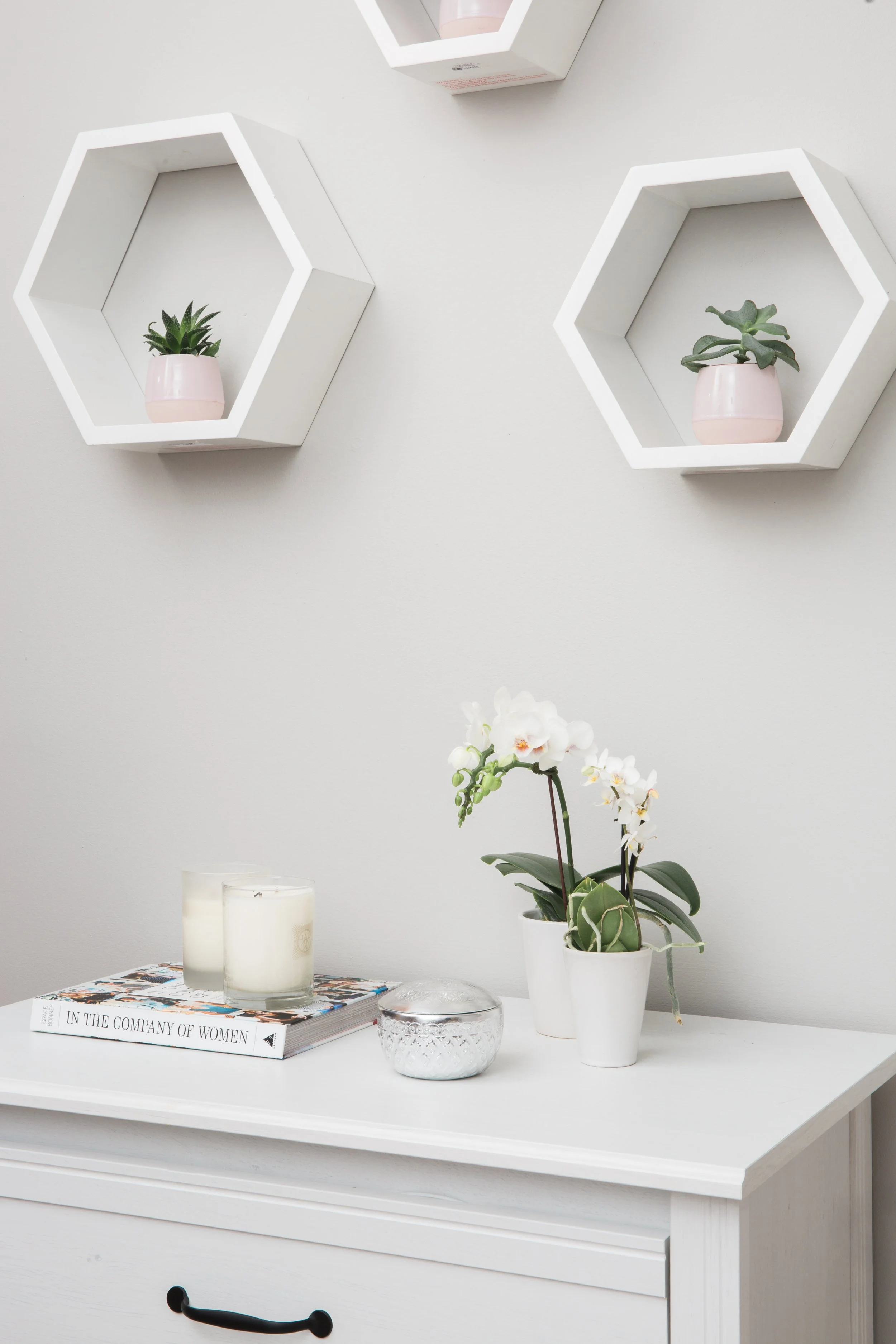 LaurenMiller_TorontoInteriorsPhotographer_FusionMineralPaint-0809.jpg