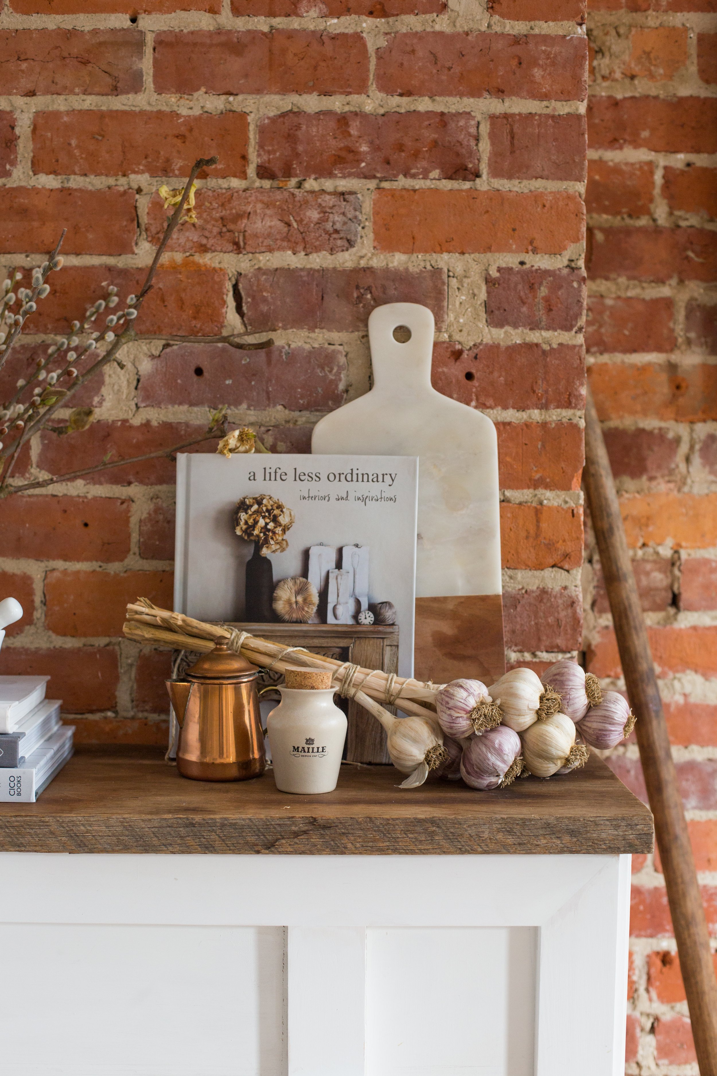 LaurenMiller_TorontoInteriorsPhotographer_FusionMineralPaint-0884.jpg