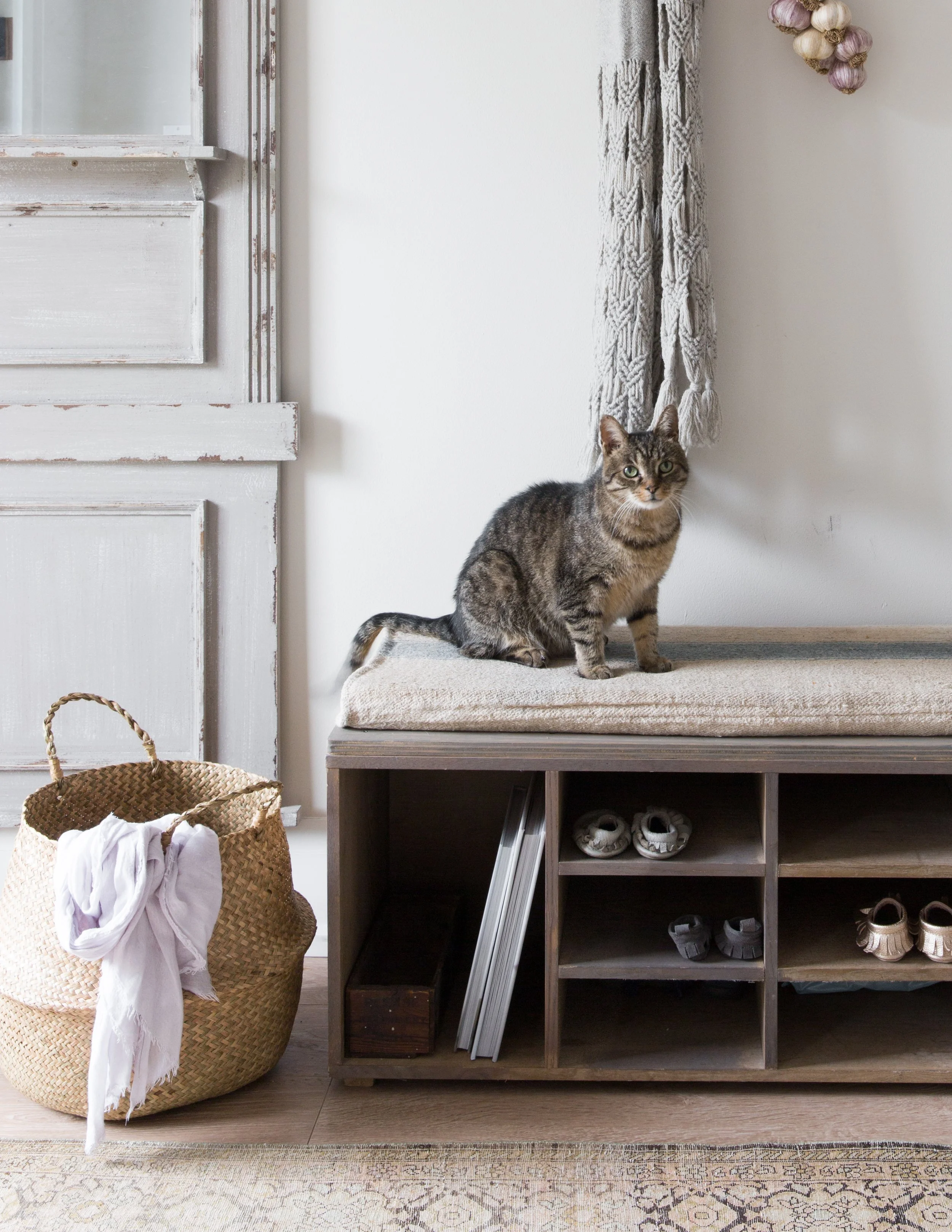 LaurenMiller_TorontoInteriorsPhotographer_FusionMineralPaint-0735.jpg