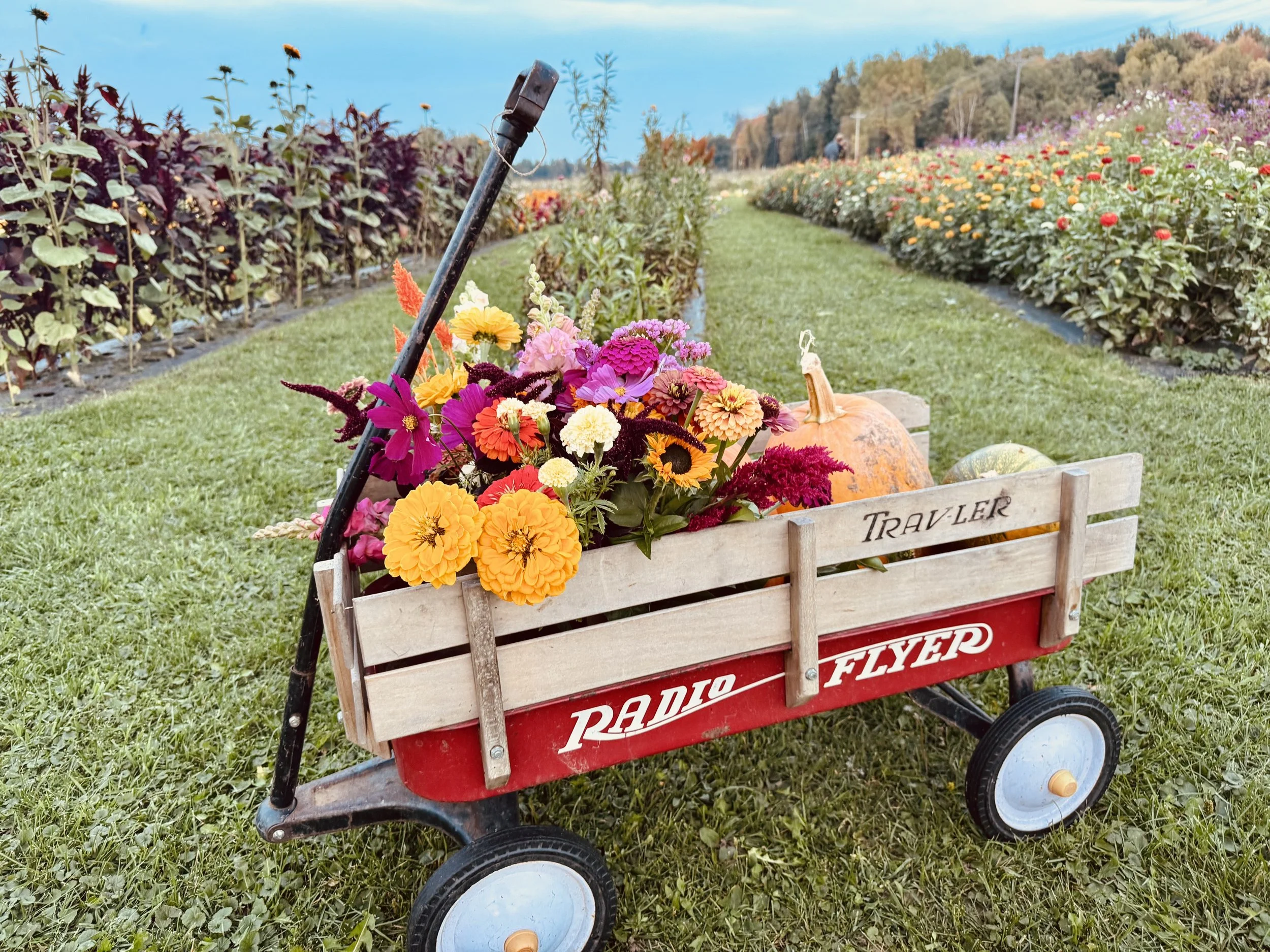 Flowers and pumpkins at Fall Fun on the Farm