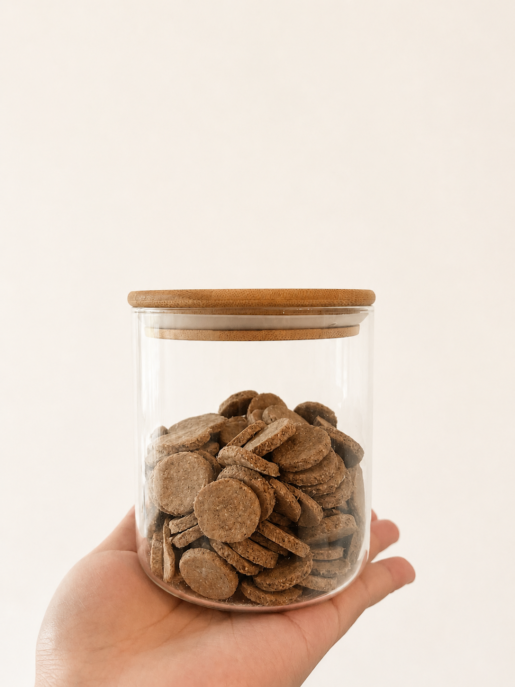 Wellness Bites