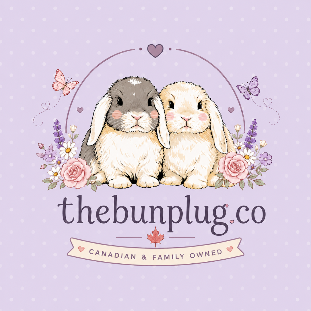 thebunplug.co