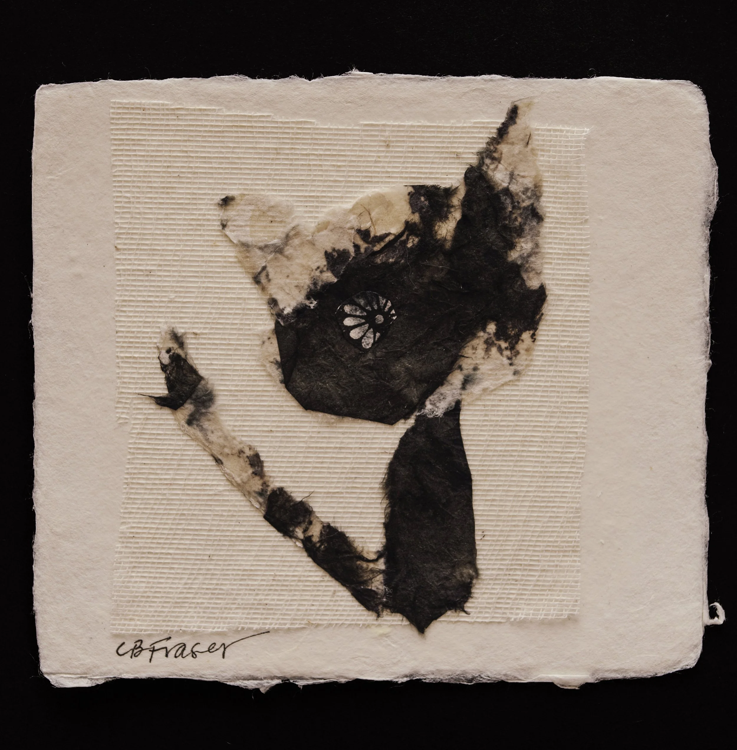 CBF.14.Collage_138.jpg