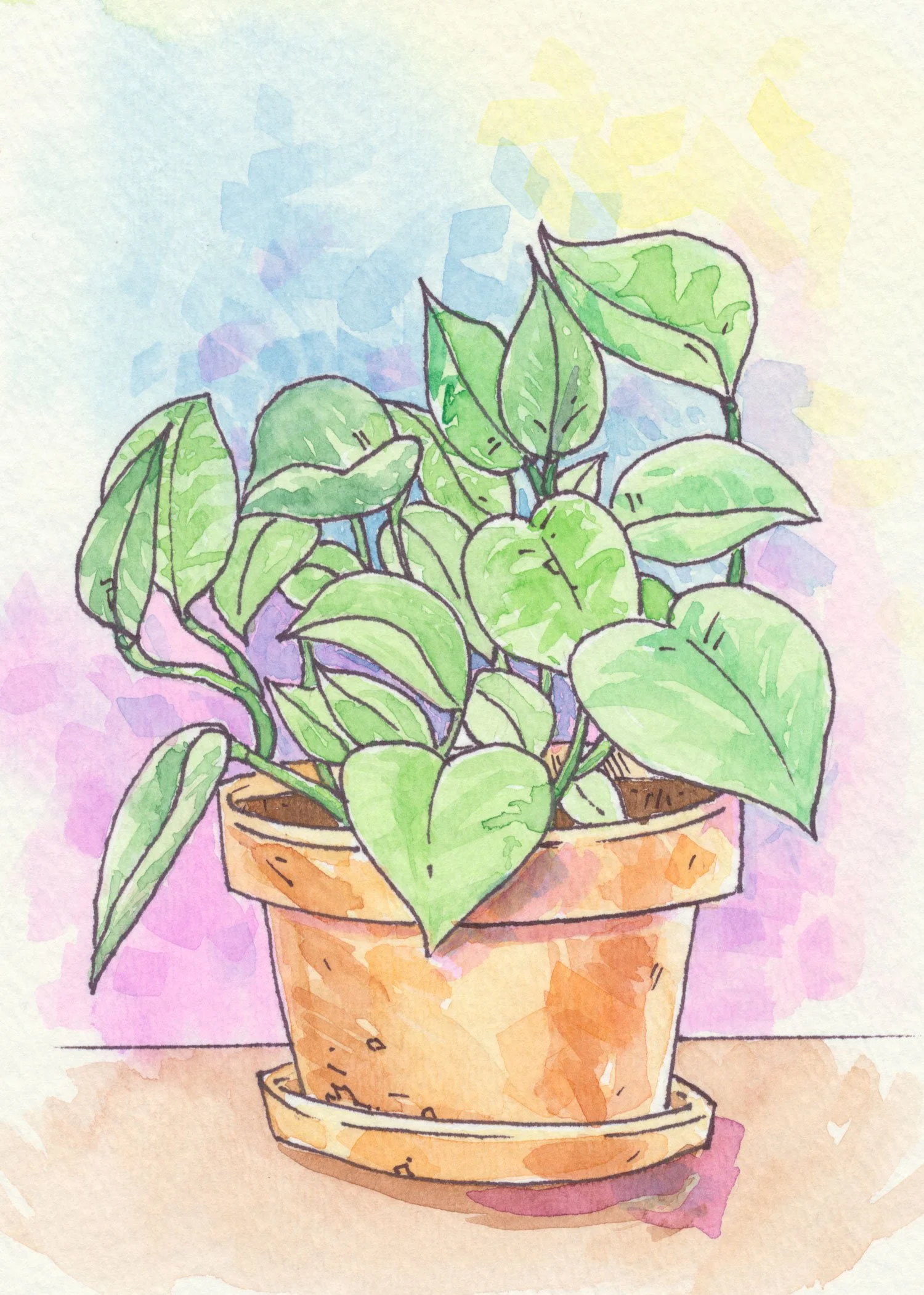 potted-plant1.jpg