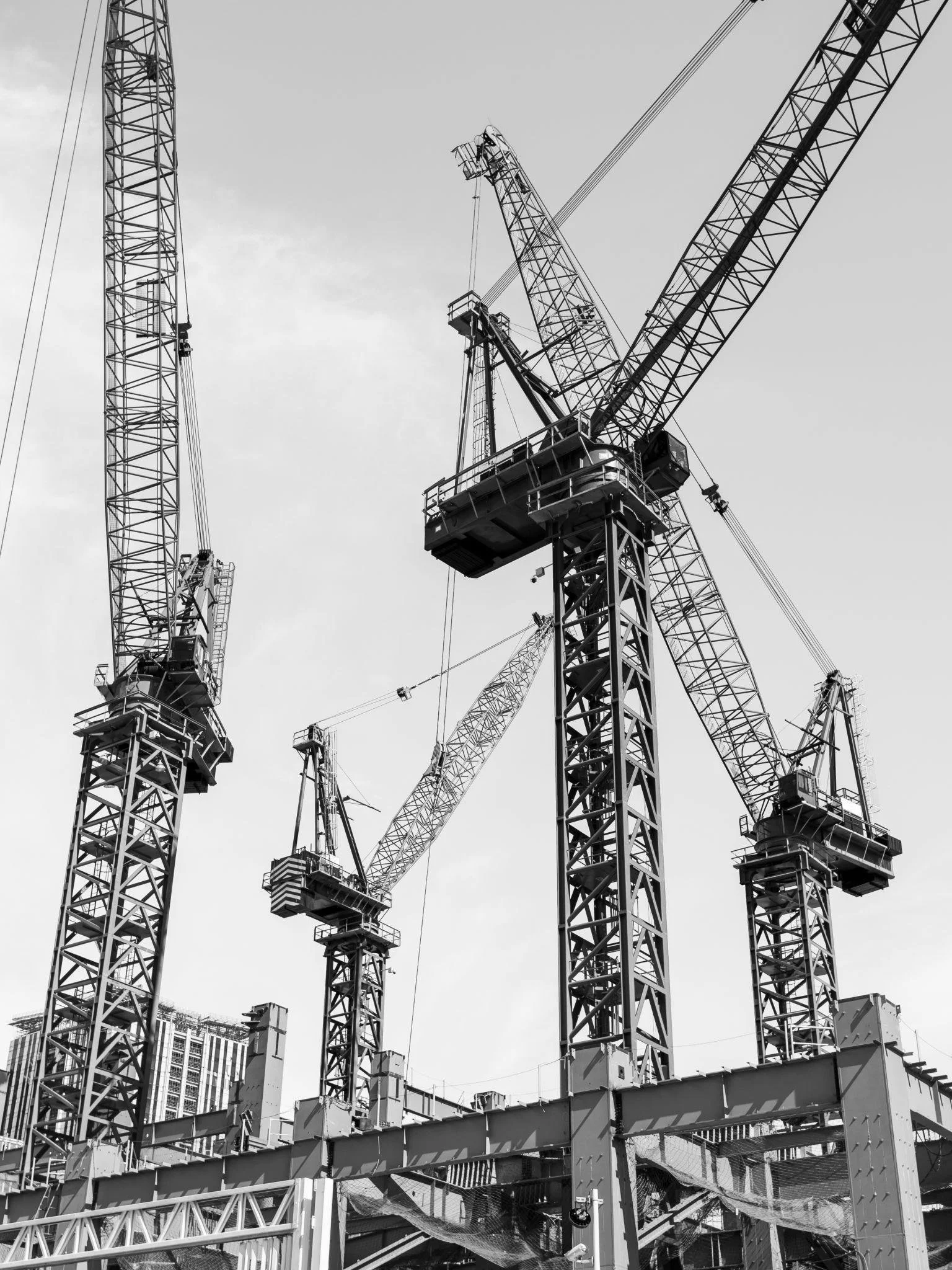 Black and white photograph of multiple construction cranes on a building site, with an urban cityscape of high-rise buildings in the background.