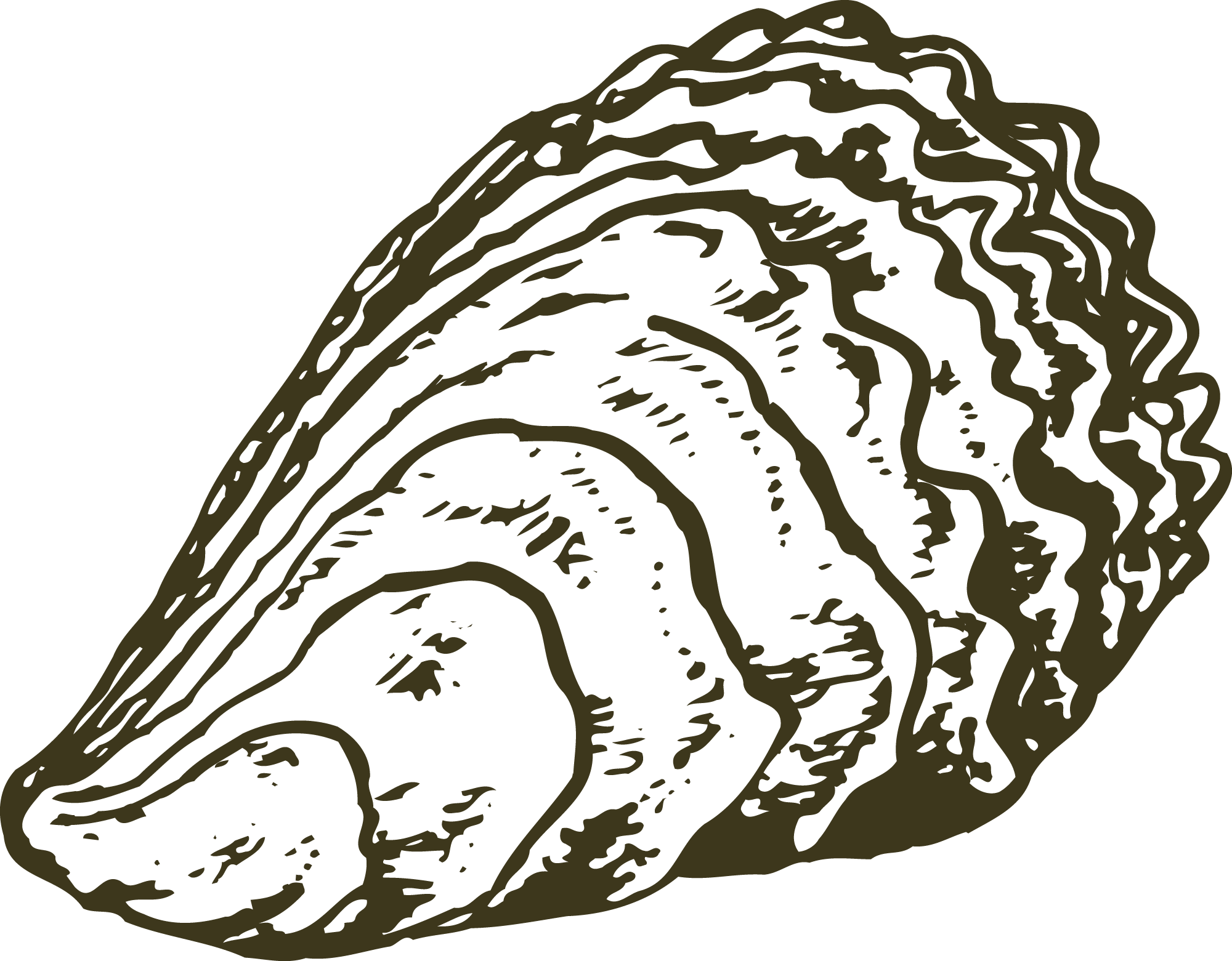 Line drawing of a human skull in a side profile view.