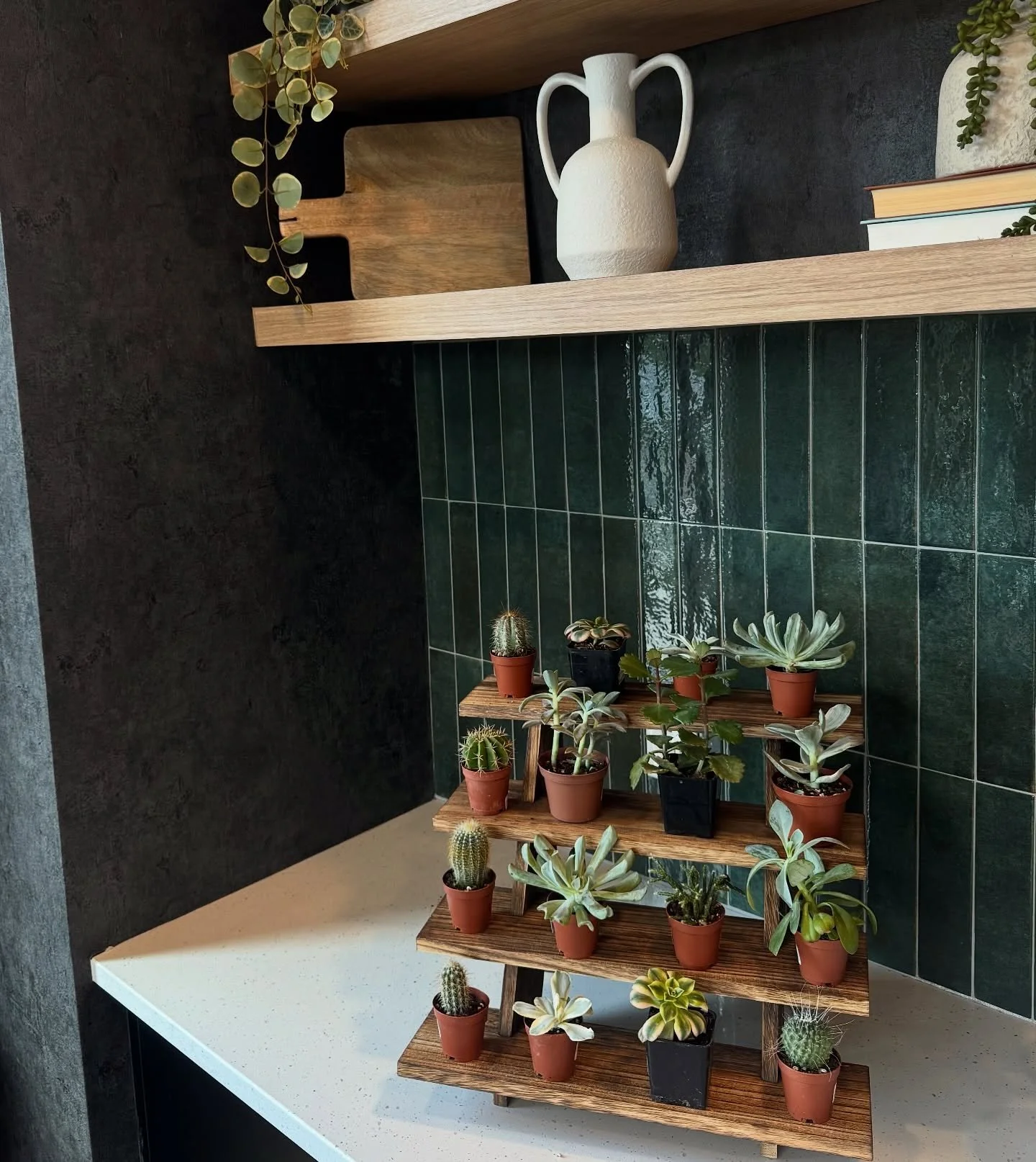 Happy Earth Day from Peer 🌎

Fun little succulent potting event to celebrate with residents 💚

Comment ideas for future resident events below!