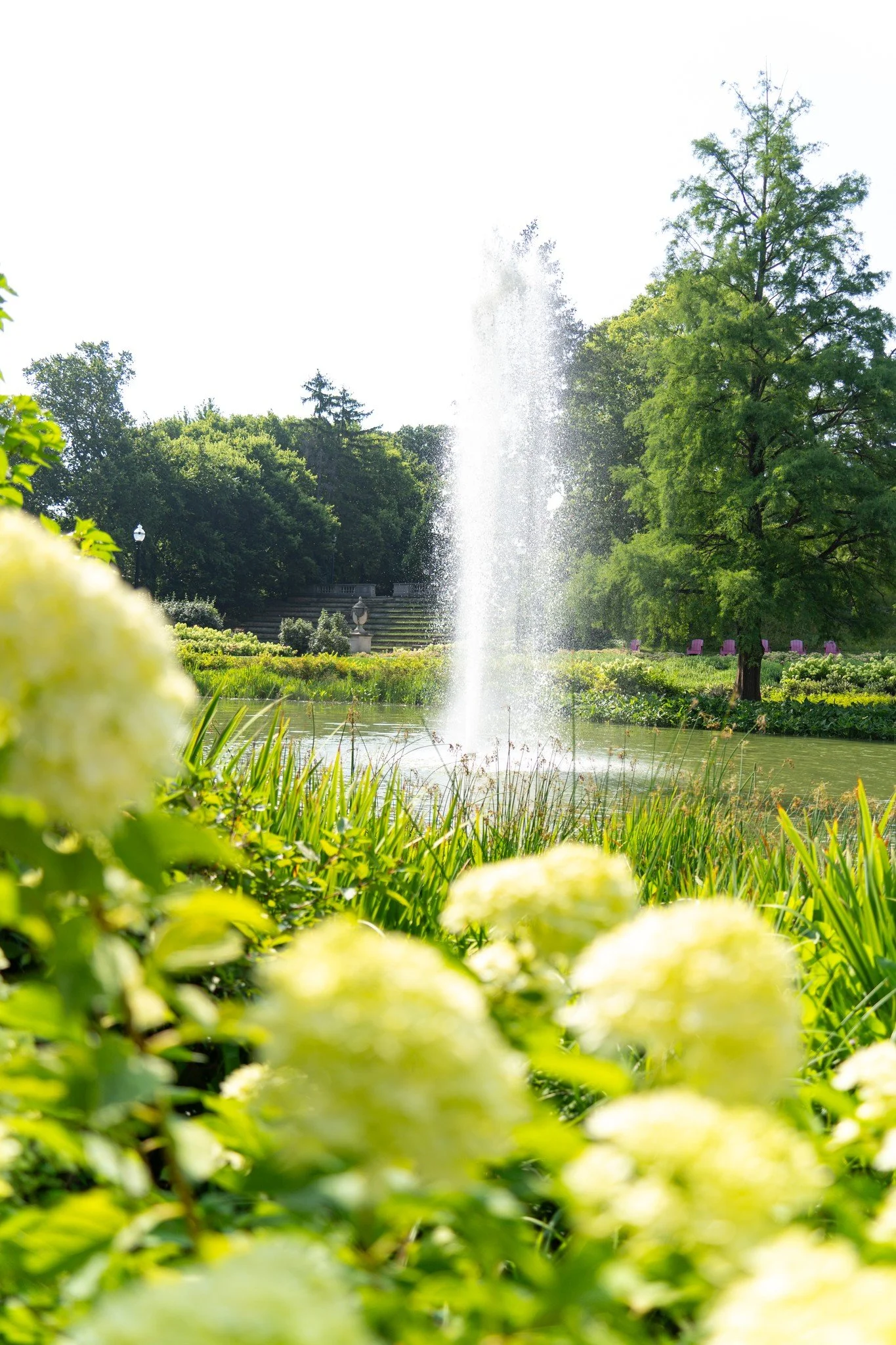 A walk past Mirror Lake is a classic way to reset between classes 🌿

 #PeerOn7th #MirrorLake #CampusWalks #BuckeyeLife #OSU
