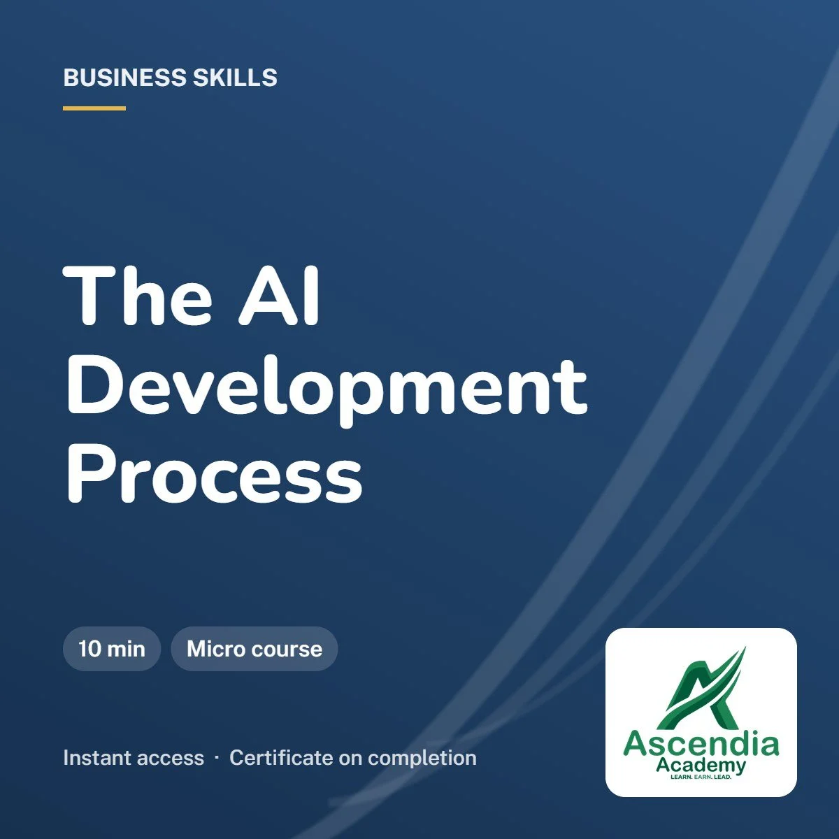 The AI Development Process