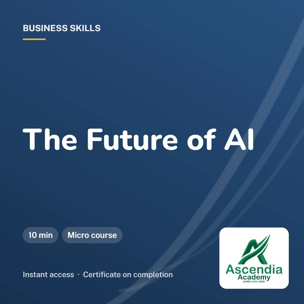 The Future of AI