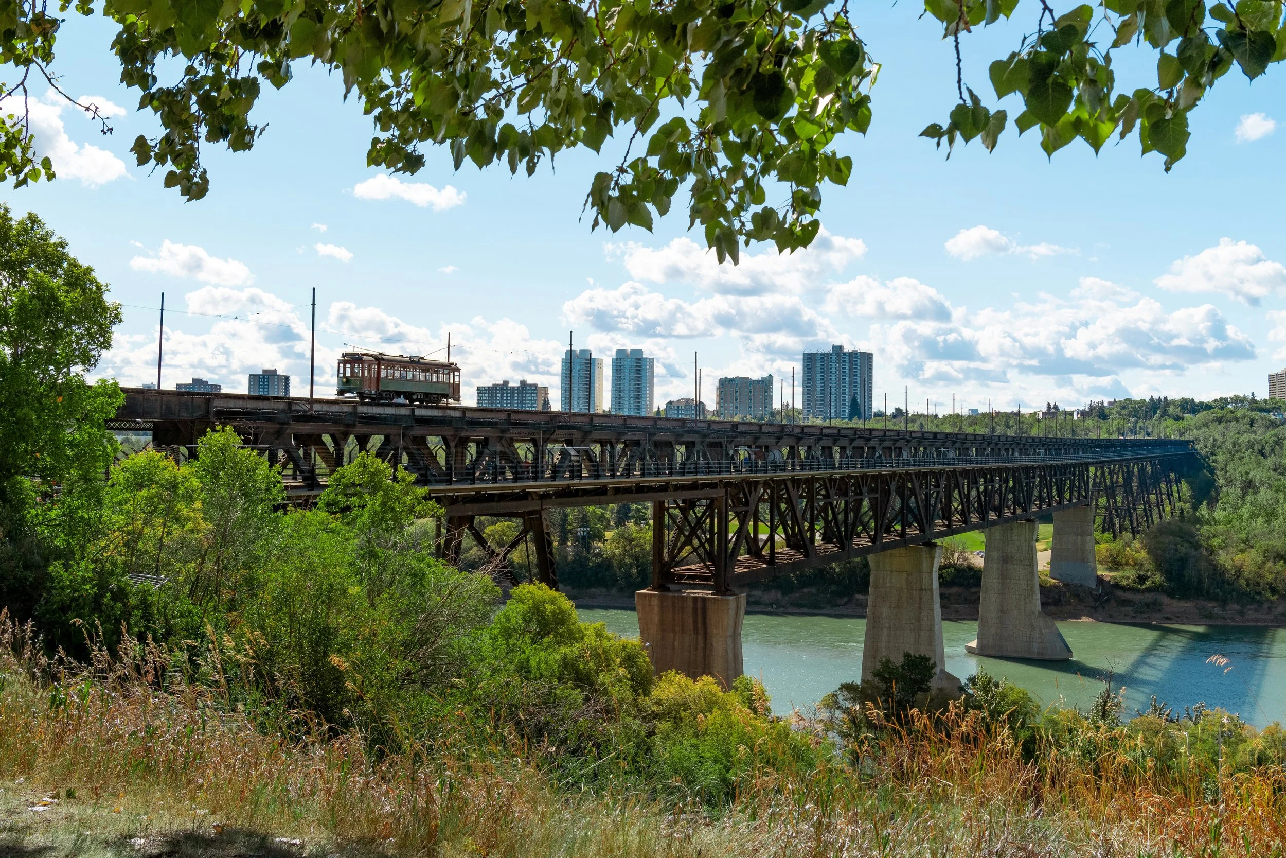 A train traveling on a bridge over a river, with green trees in the foreground and tall buildings in the background under a partly cloudy sky.