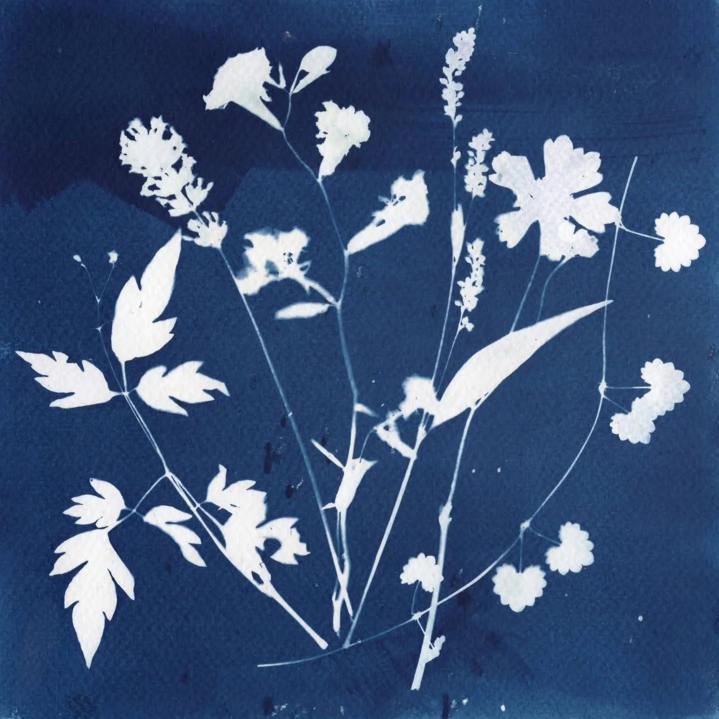 Is the May marathon over? Phew. It seemed like such a whirlwind of a month. I feel like I'm finally coming up for air - bare with me if I owe you a response. The flowers are blooming, the sunshine levels are high, and midsummer solstice is right arou