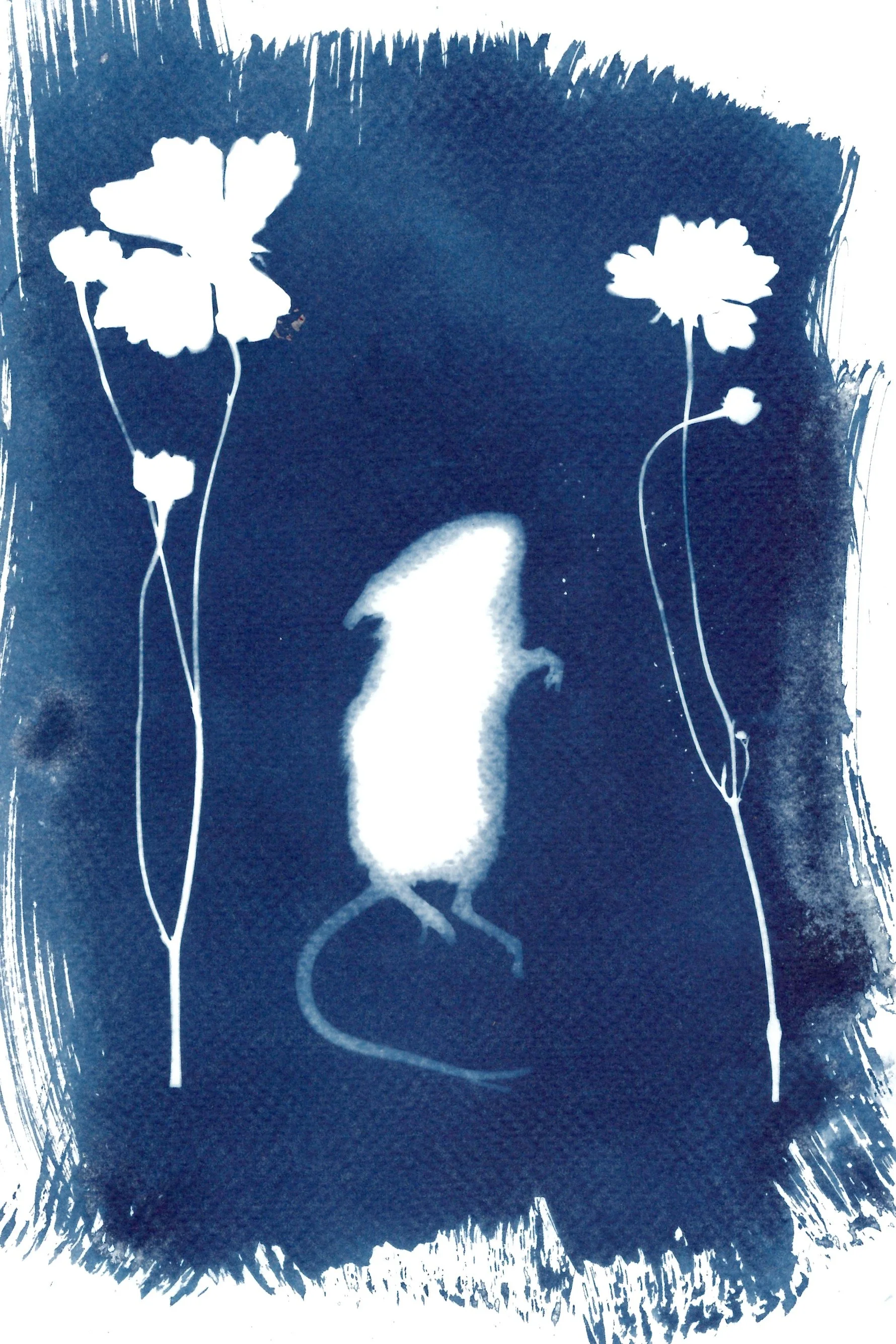 mouse_ghost.jpg