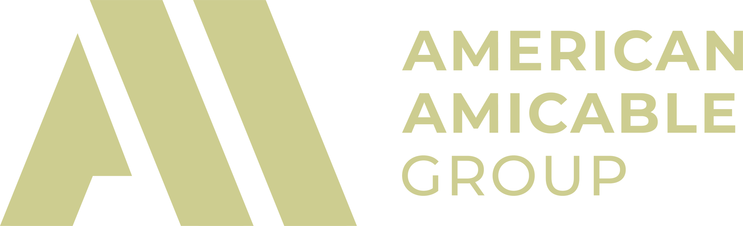 america amicable.png