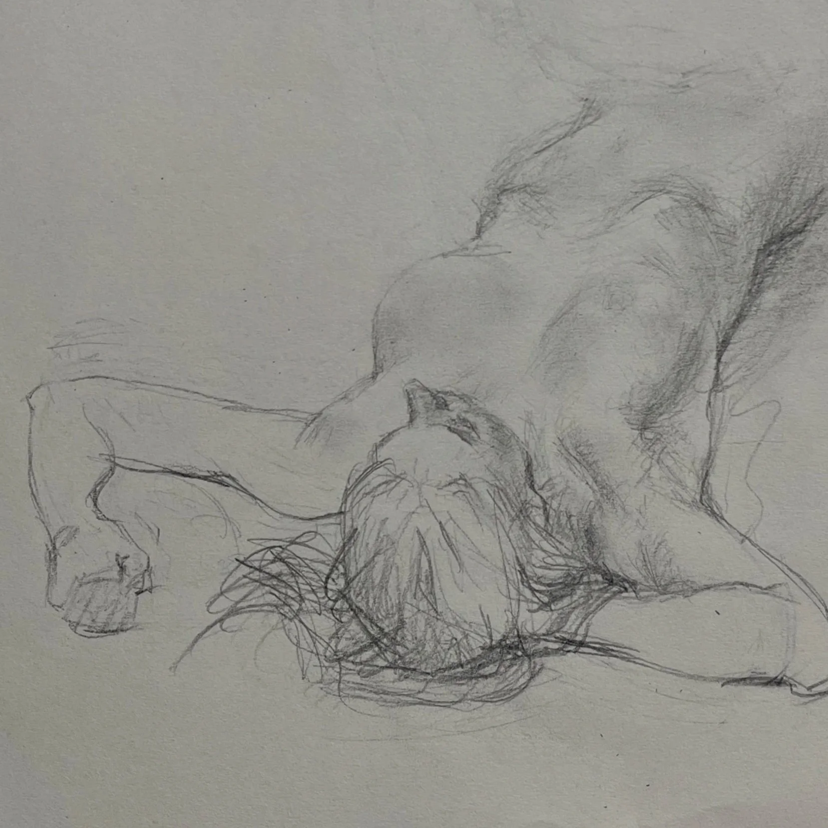 Sketch